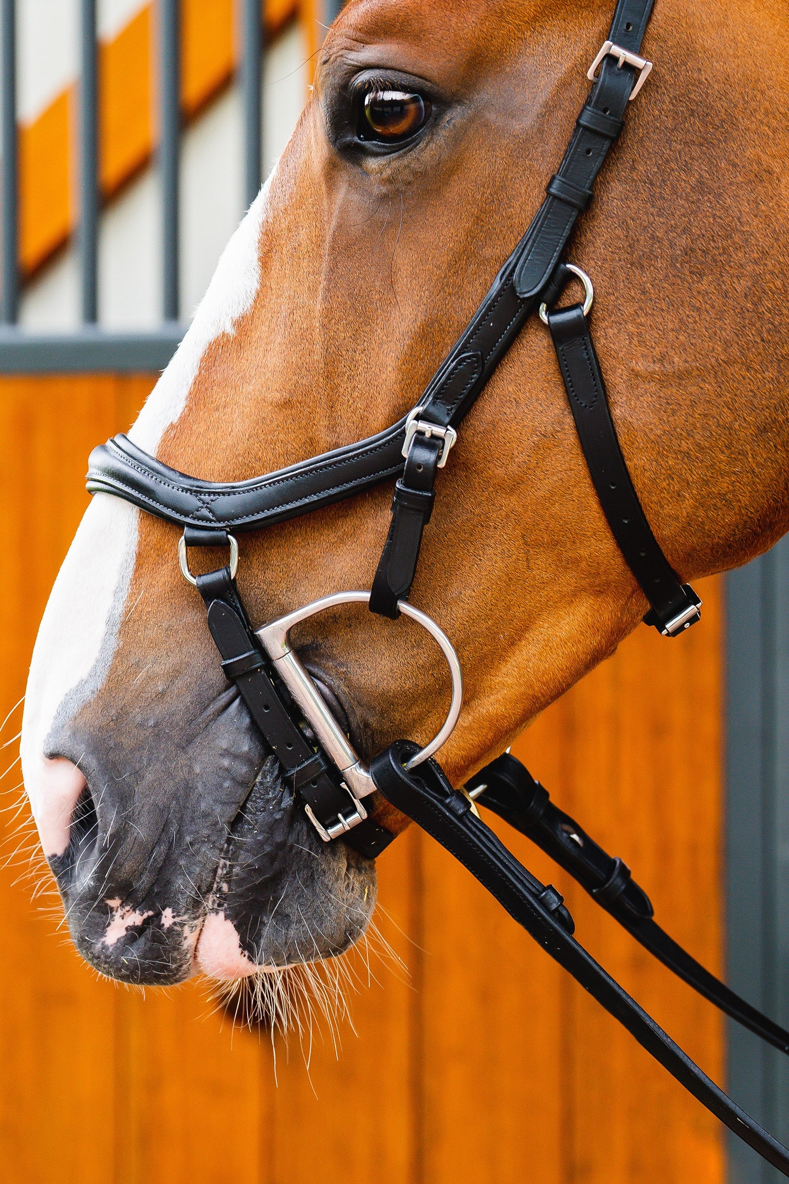 Horseware Micklem 2 Deluxe Competition Bridle Bridles & Reins