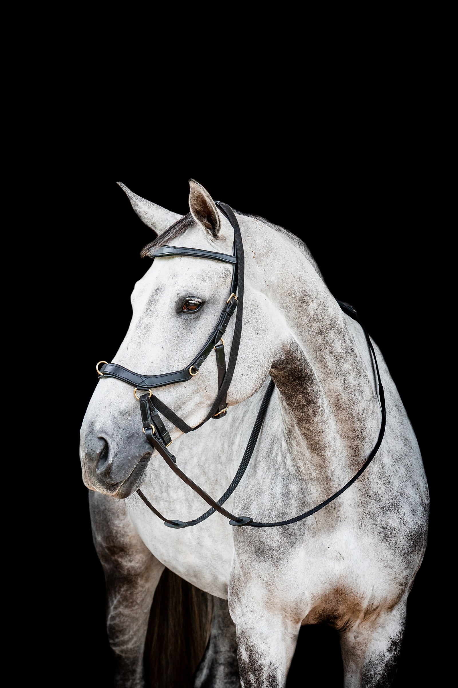 Horseware Micklem 2 Multi Cabezada Cabezadas de montar & Riendas