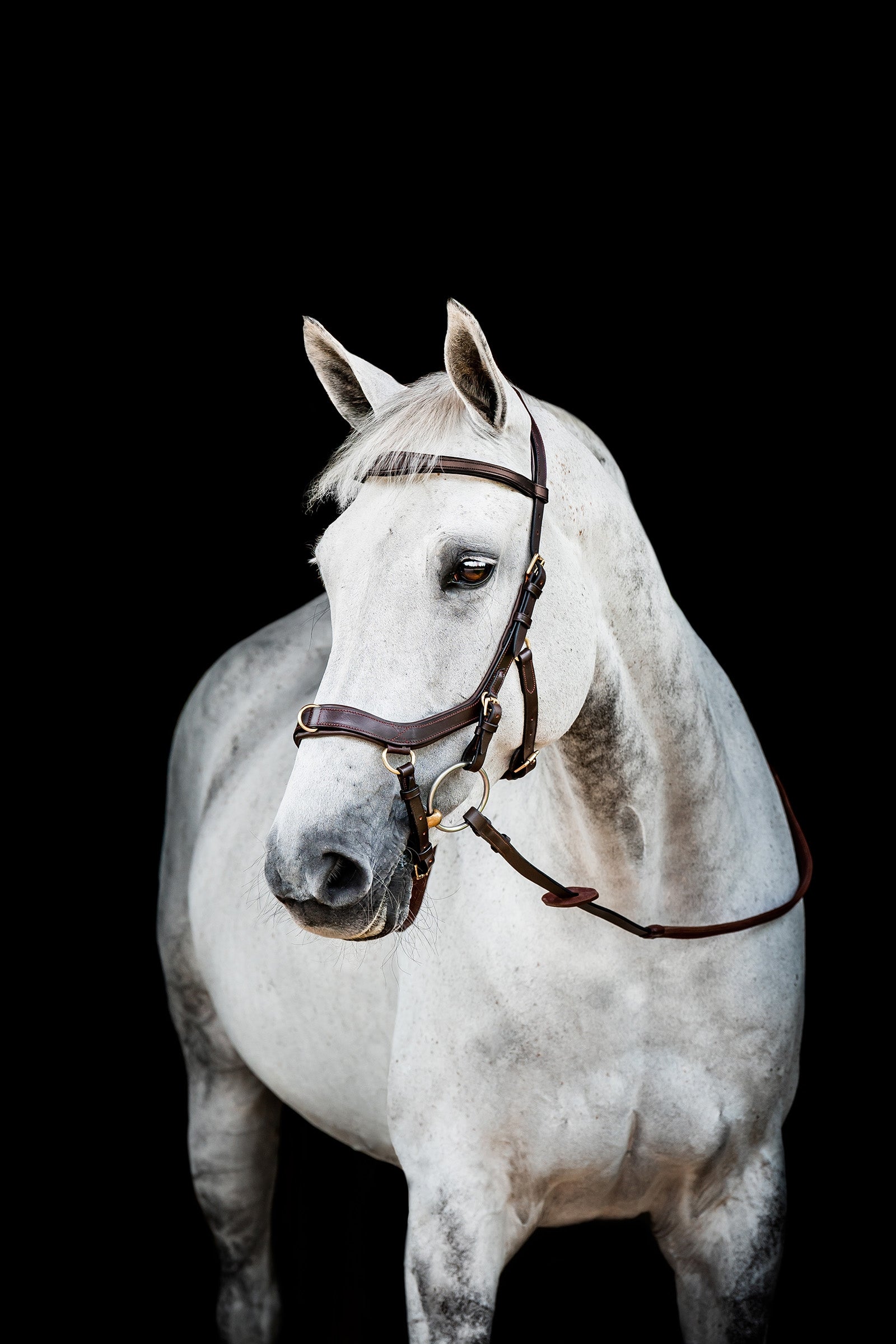 Horseware Micklem 2 Multi Cabezada Cabezadas de montar & Riendas