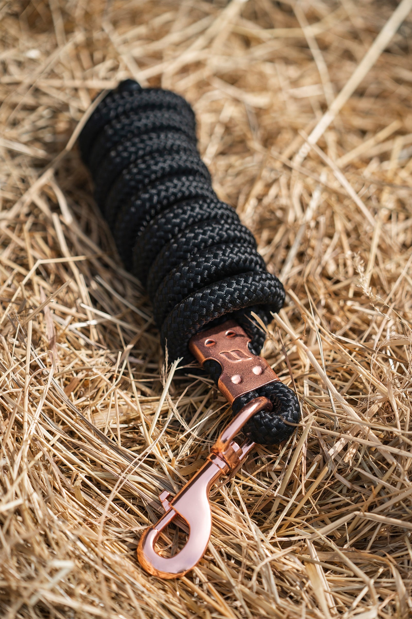 Back on Track Cuerda de plomo Ace Cabezadas de cuadra & Ramales