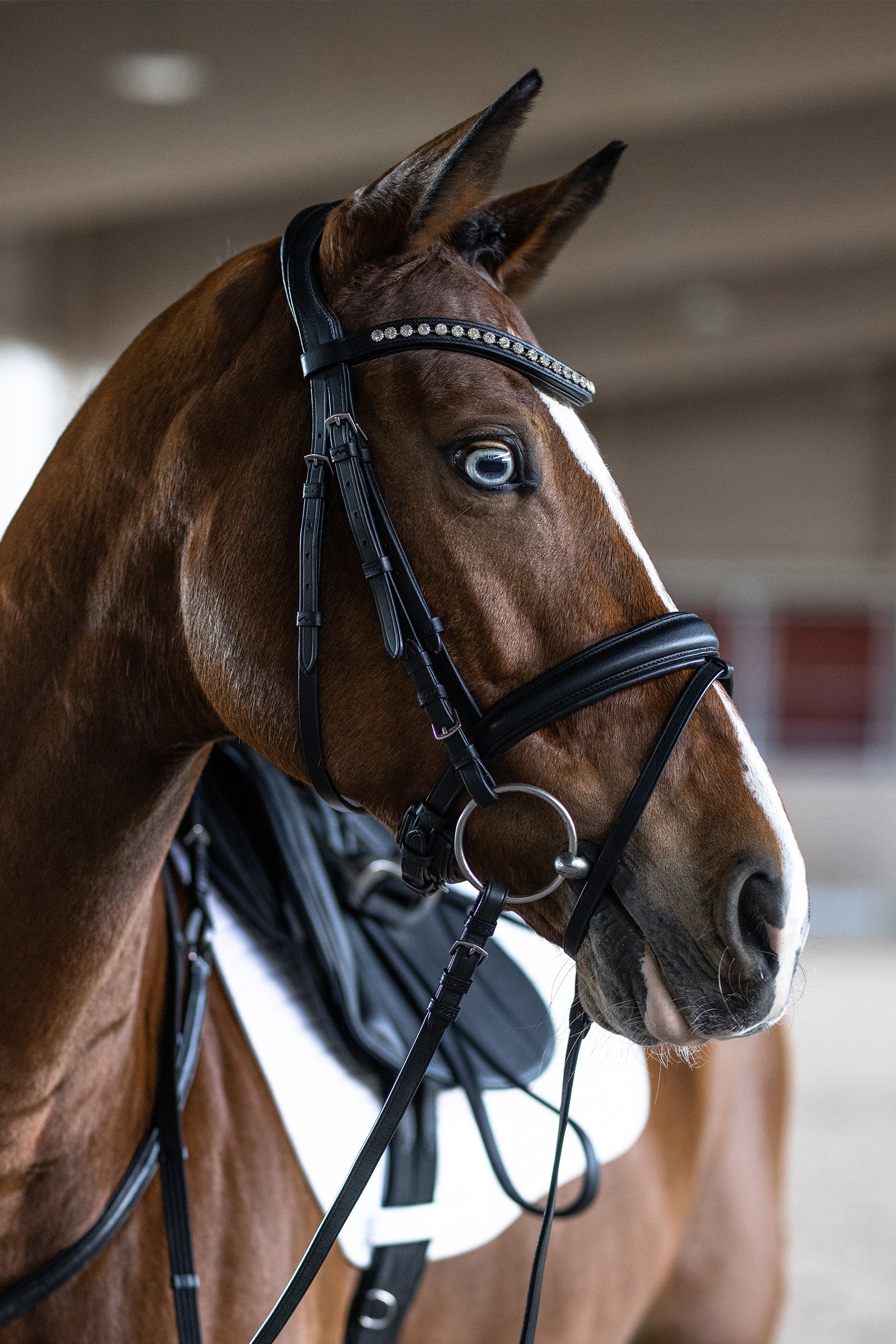 Kieffer Snaffle Bridle Essentials Xia Bridles & Reins