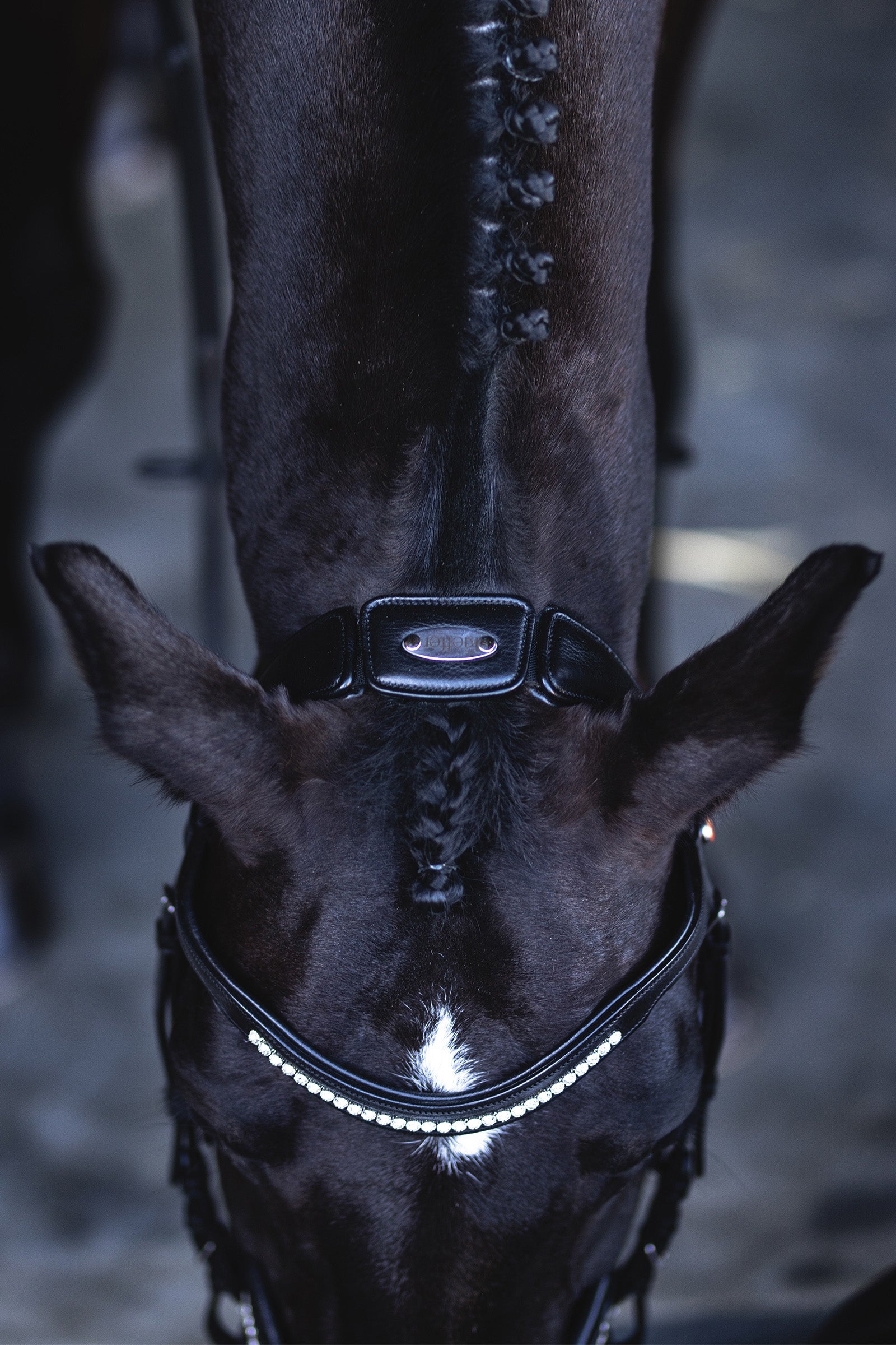 Kieffer Snaffle Bridle Ultrasoft® Luna Bridles & Reins