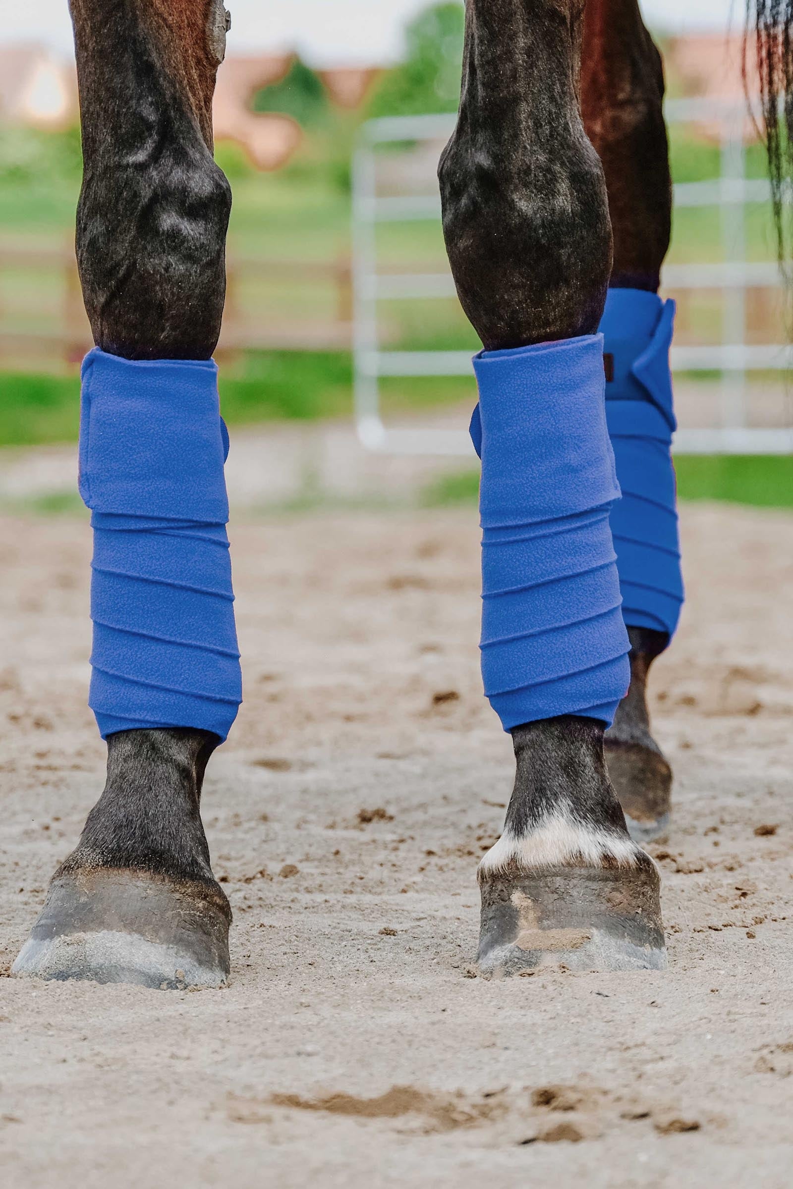 Equi Theme EQUITHÈME Polo Bands (3,0 m) Leg & Hoof Protection