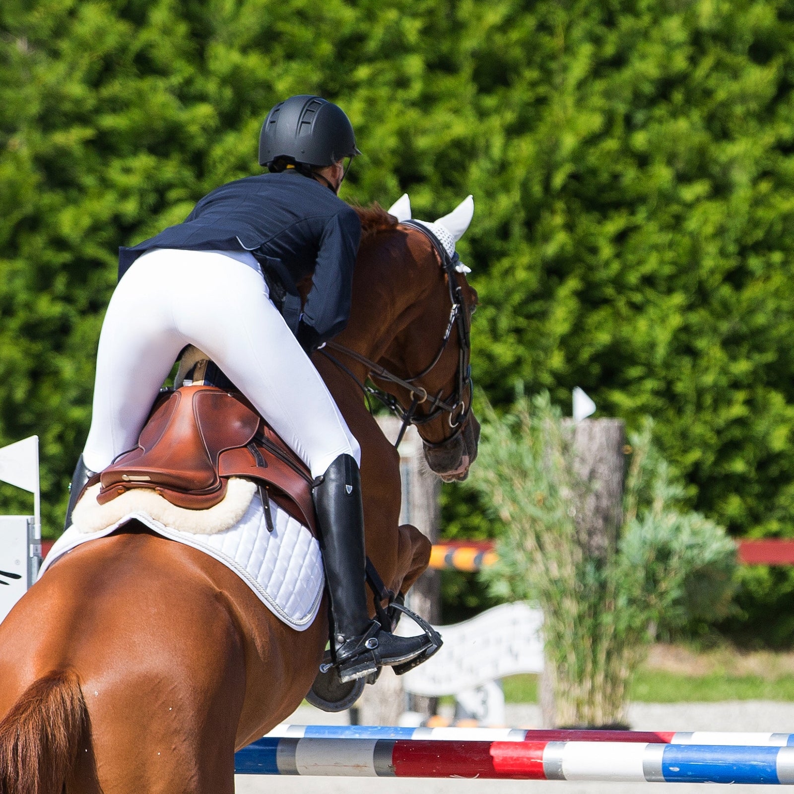 Horze Winslow Genuine Leather Tall Boots Riding Boots & Riding Shoes