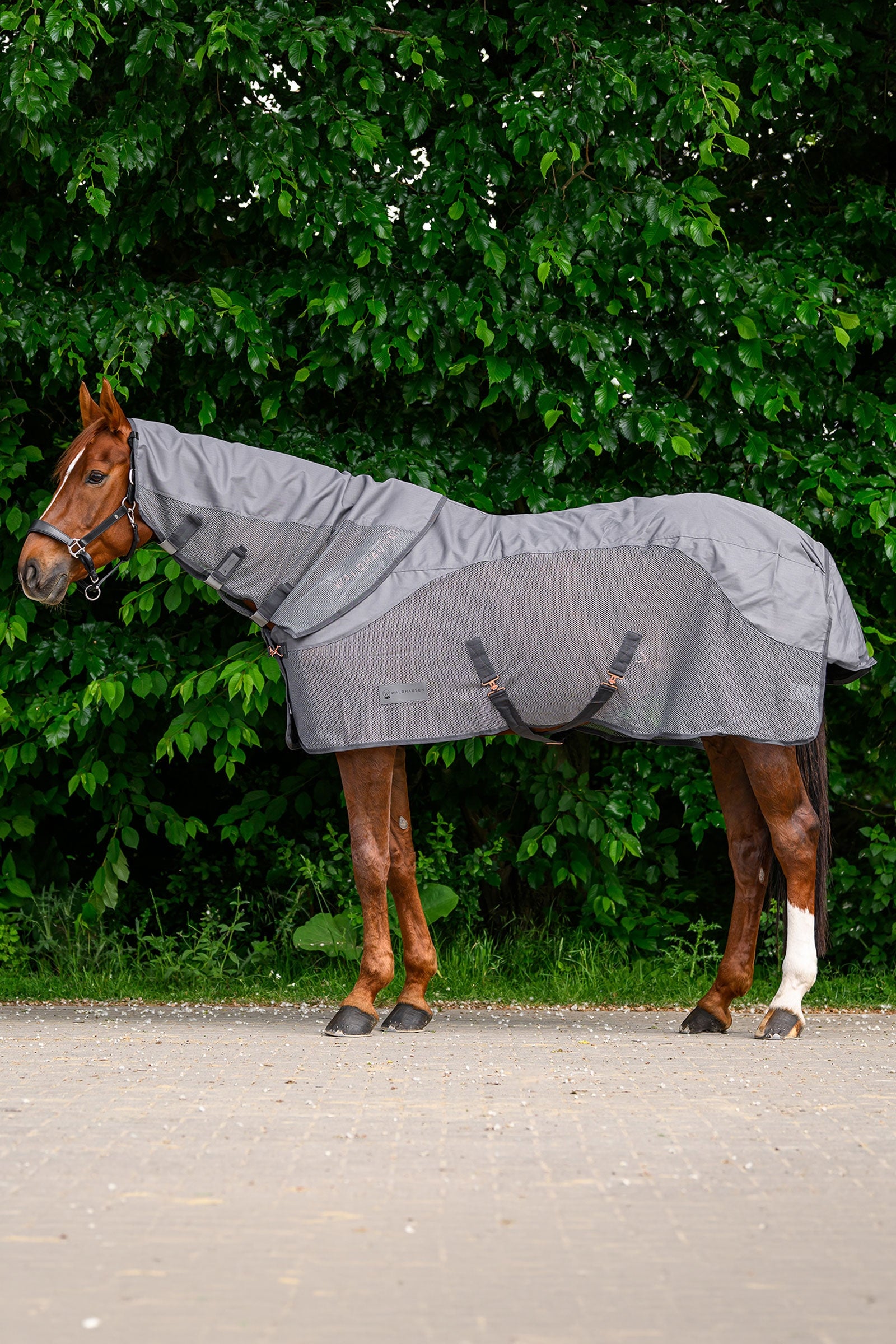 Waldhausen Comfort Rain & Fly Neck Cover Horse Rugs