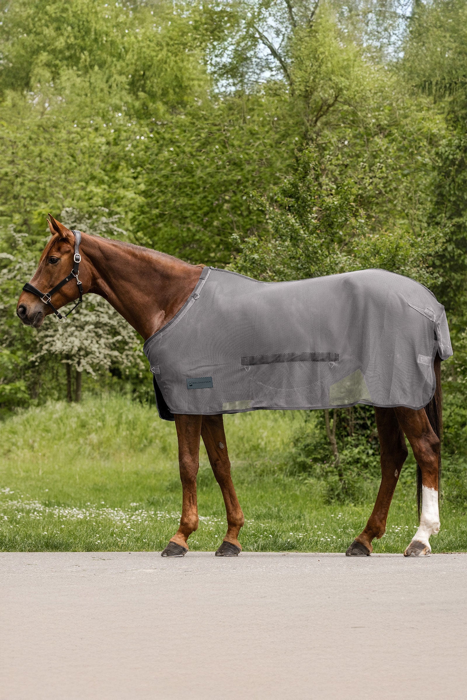 Waldhausen Comfort manta antimoscas con solapa abdominal Mantas Caballo