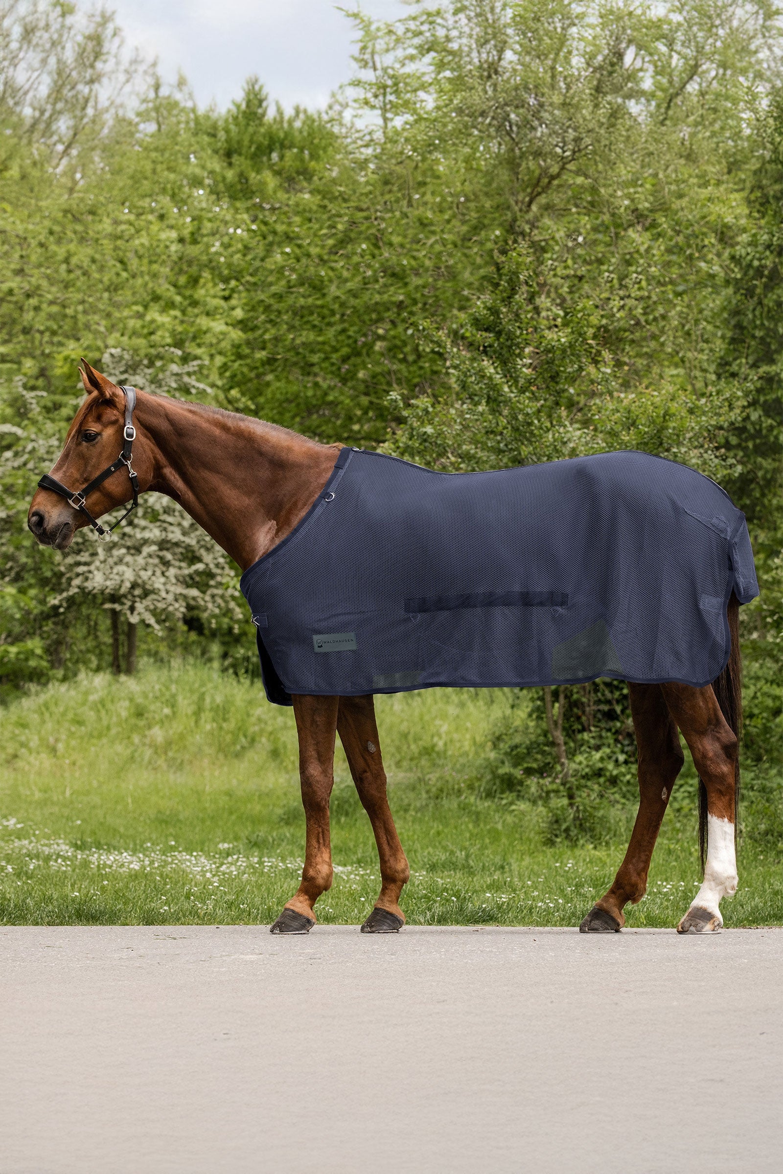 Waldhausen Comfort manta antimoscas con solapa abdominal Mantas Caballo