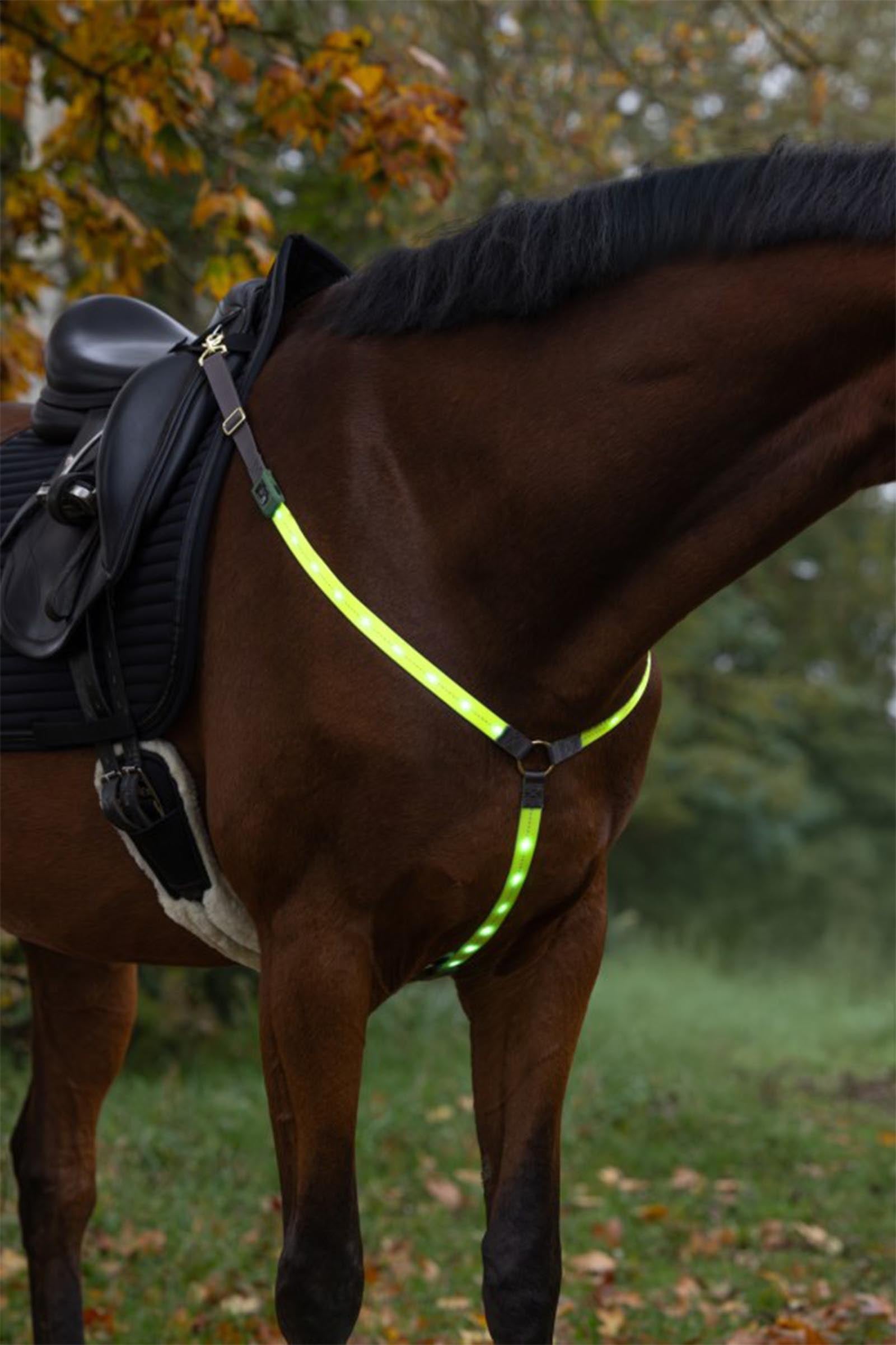 Covalliero LED Breastplate Reflective