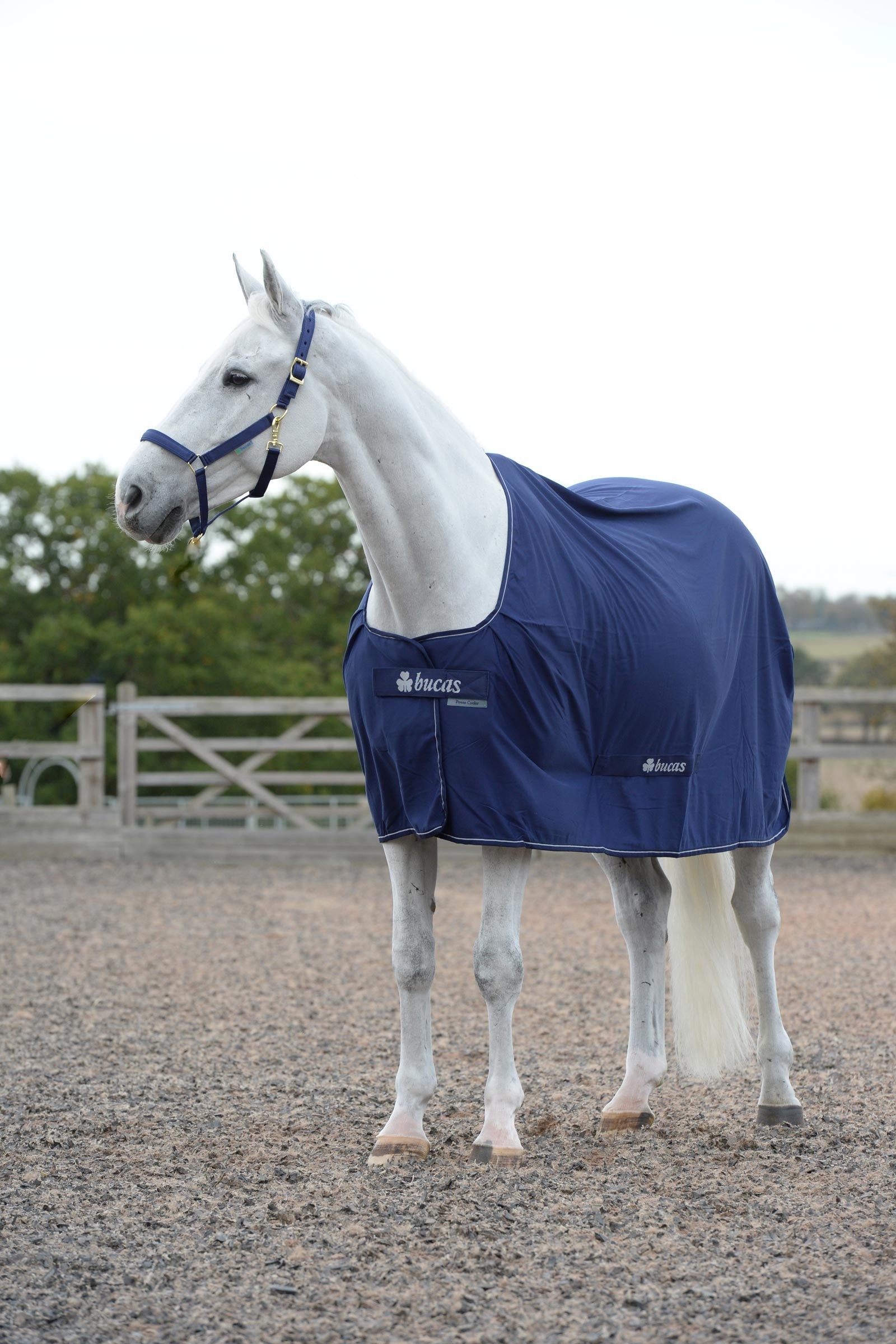 Bucas Power manta secante Mantas Caballo
