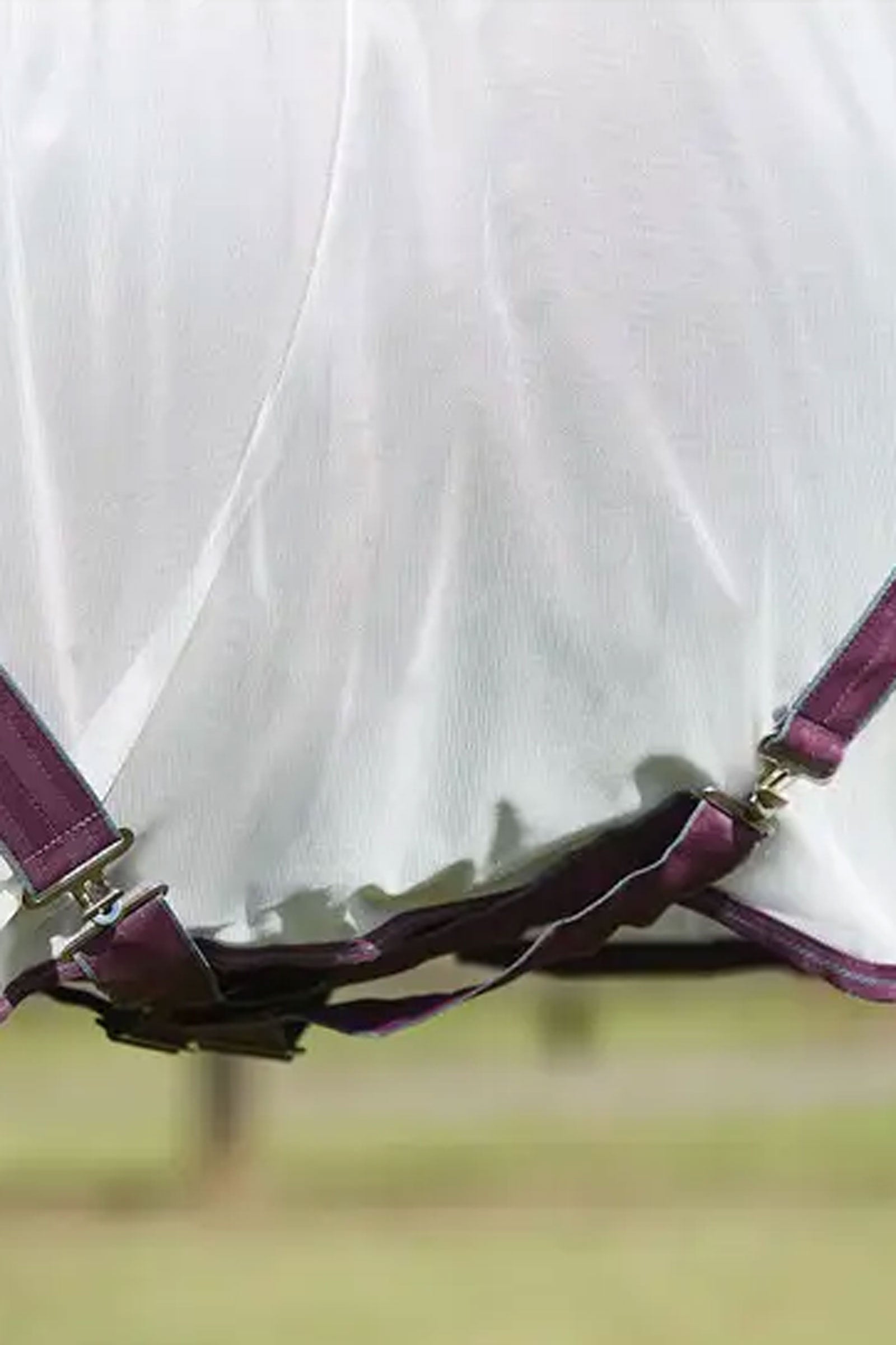 Weatherbeeta Comfitec Essential Mesh II Fly Rug with Fixed Neck Horse Rugs