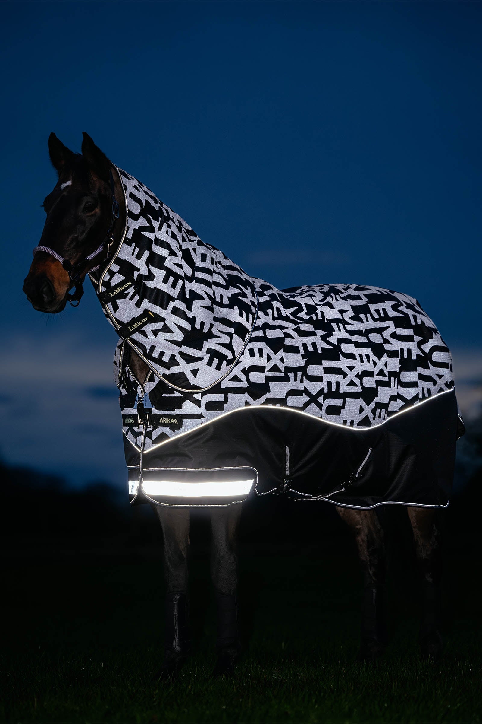 LeMieux Arika Reflective Turnout Rug With Detachable Neck, 0 g Mantas Caballo