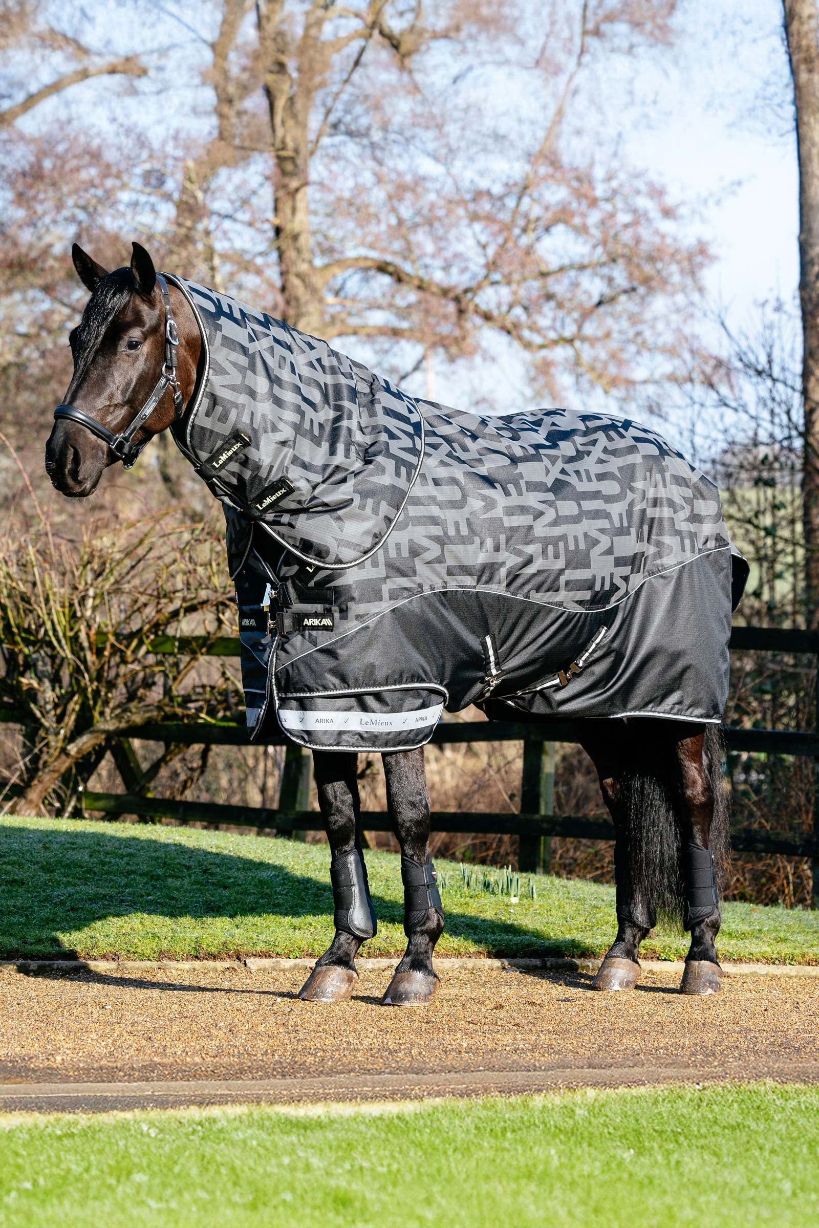 LeMieux Arika Reflective Turnout Rug With Detachable Neck, 0 g Horse Rugs