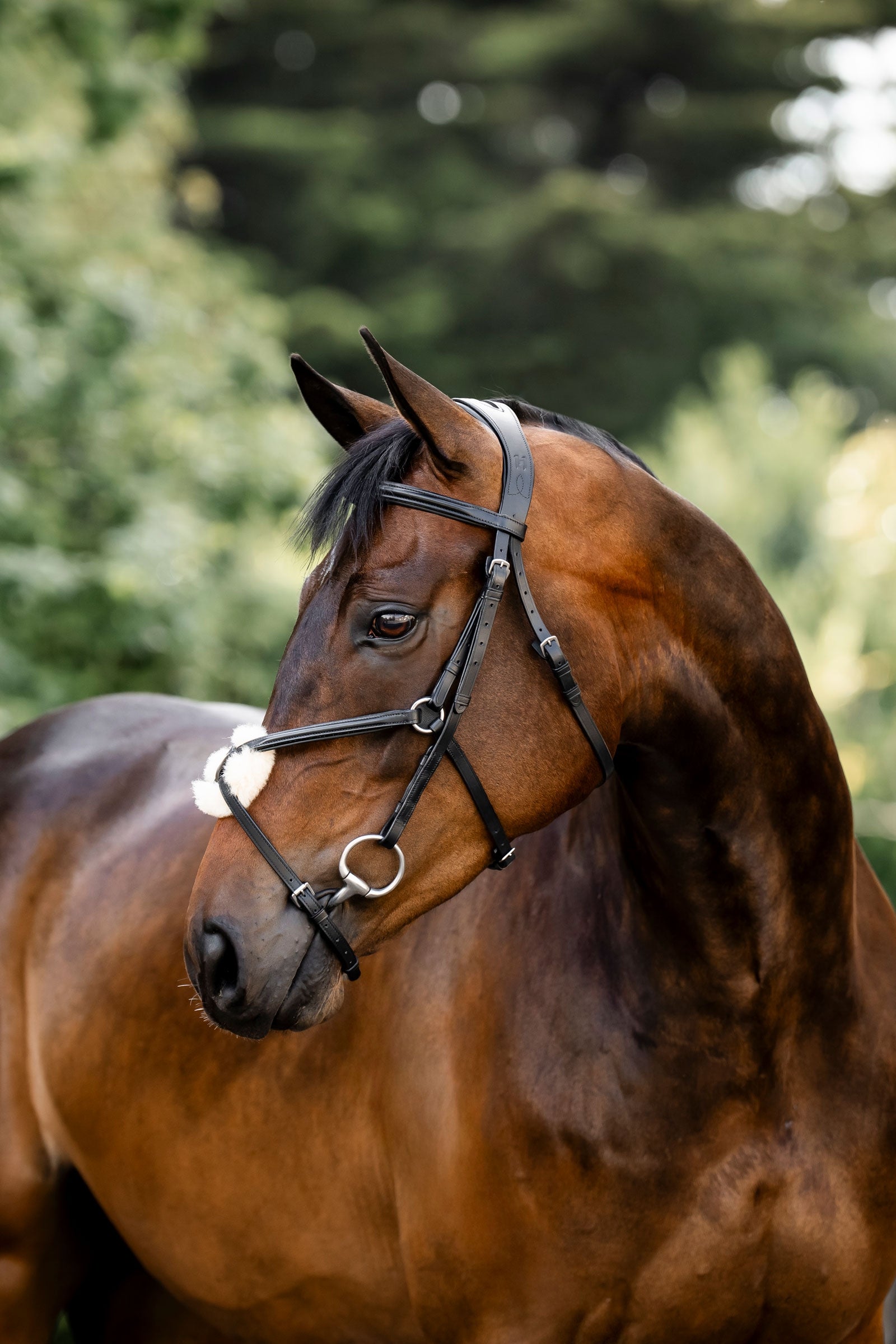 Horseware brida con muserola cruzada Cabezadas de montar & Riendas