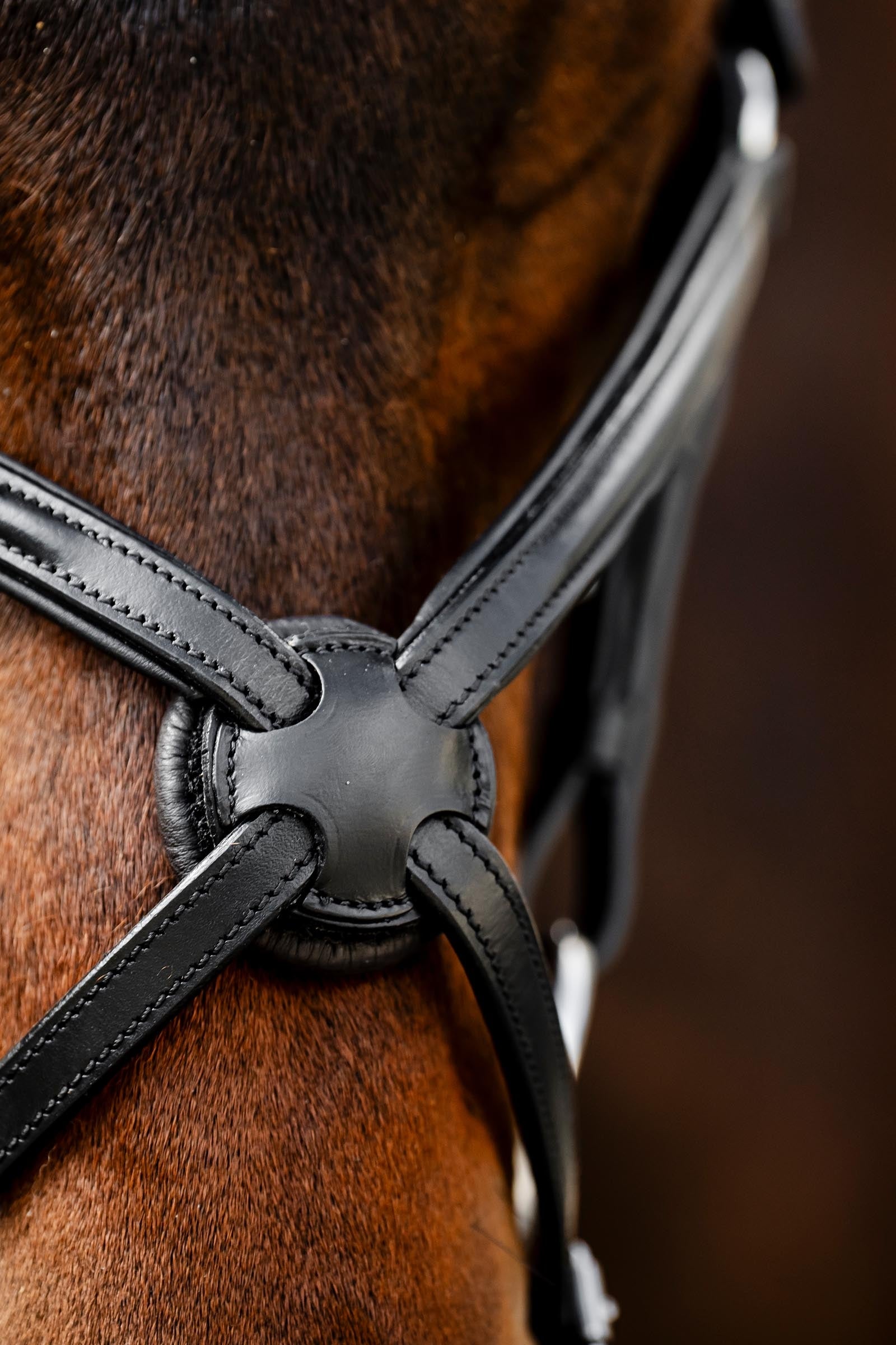 Horseware Figure 8 Grackle Bridle Bridles & Reins