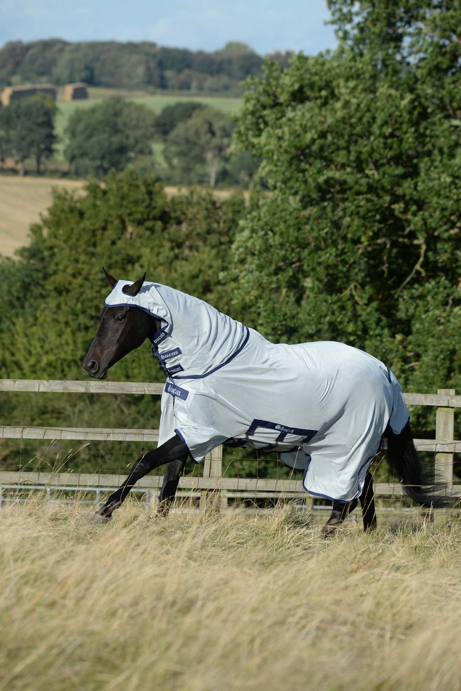 Bucas Buzz-Off X Big Neck manta anti-moscas con cuello fijo Mantas Caballo