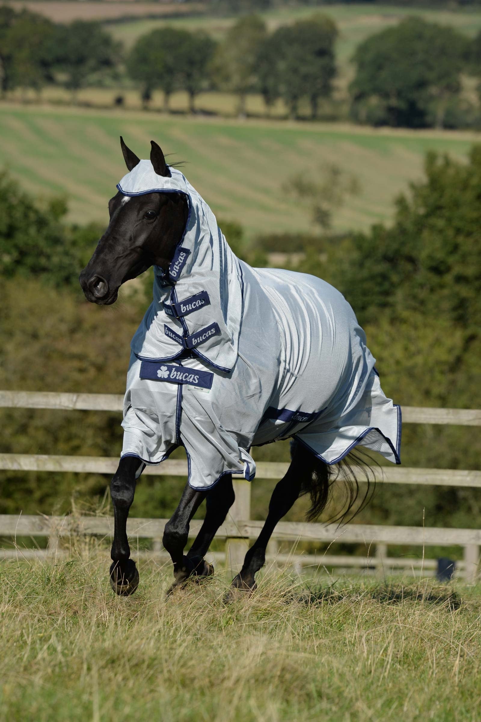 Bucas Buzz-Off X Big Neck Fly Rug With Fixed Neck Horse Rugs