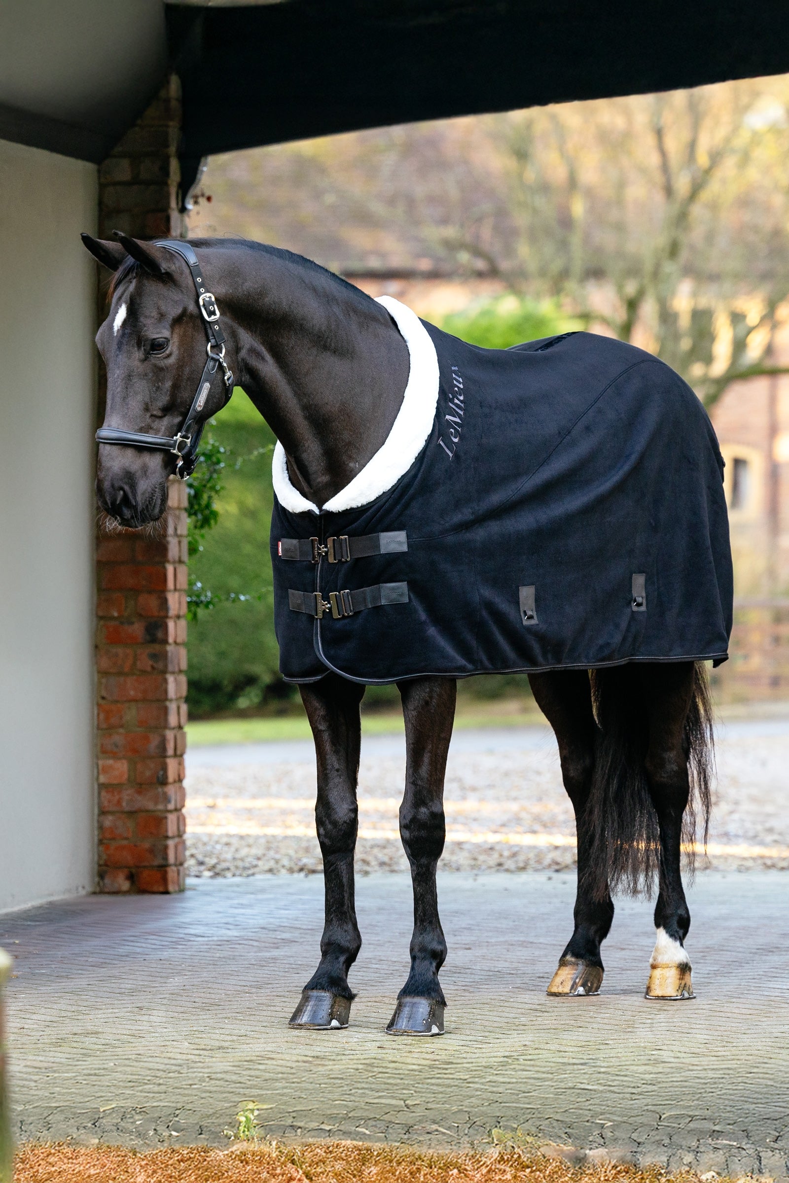 LeMieux Kudos Luxe manta polar Mantas Caballo