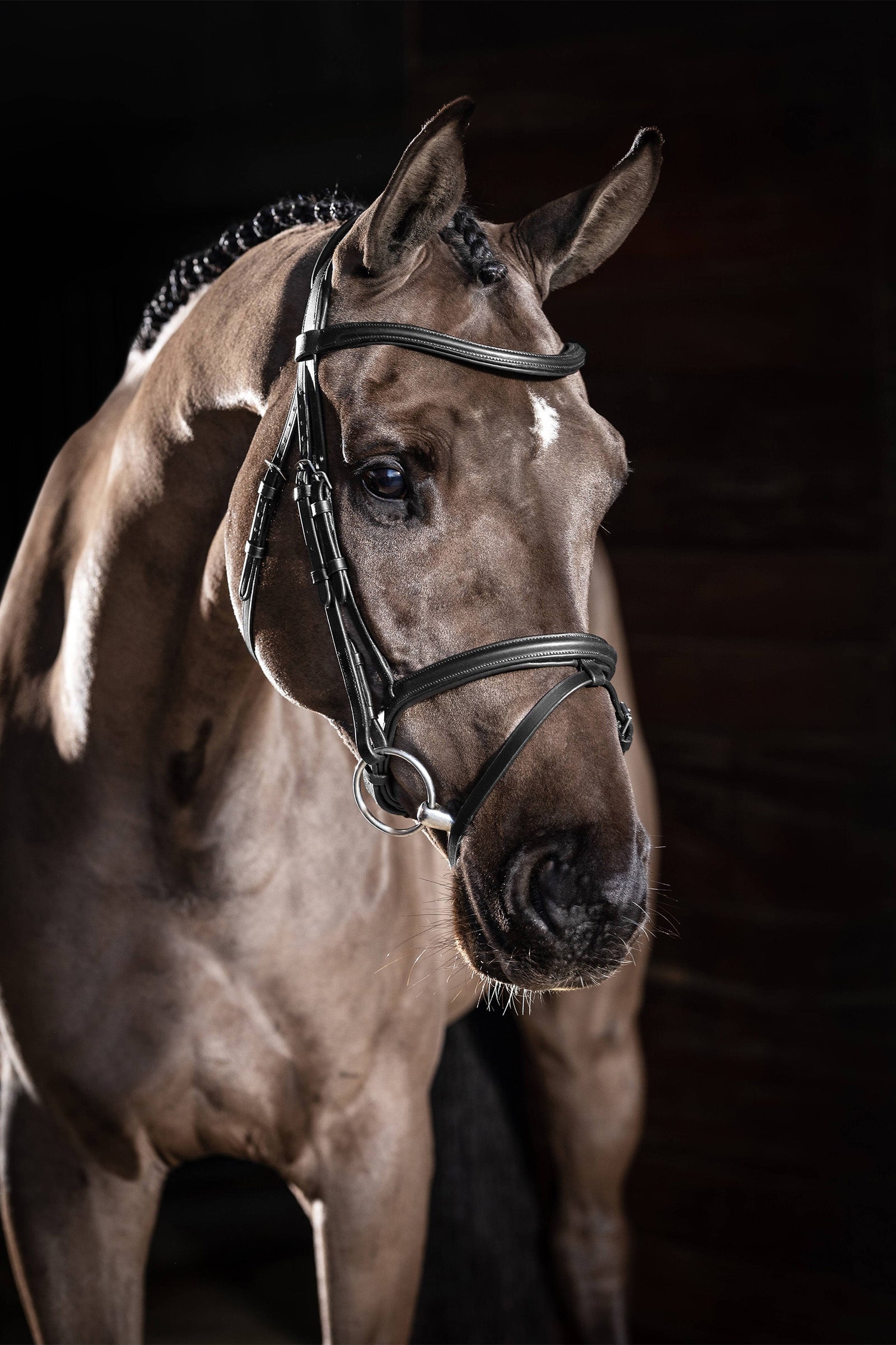 LeMieux Arika Flash Bridle Bridles & Reins