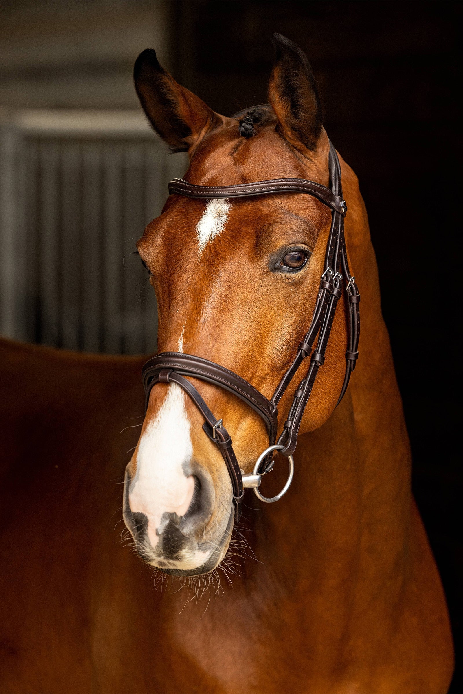 LeMieux Arika Flash Bridle Bridles & Reins