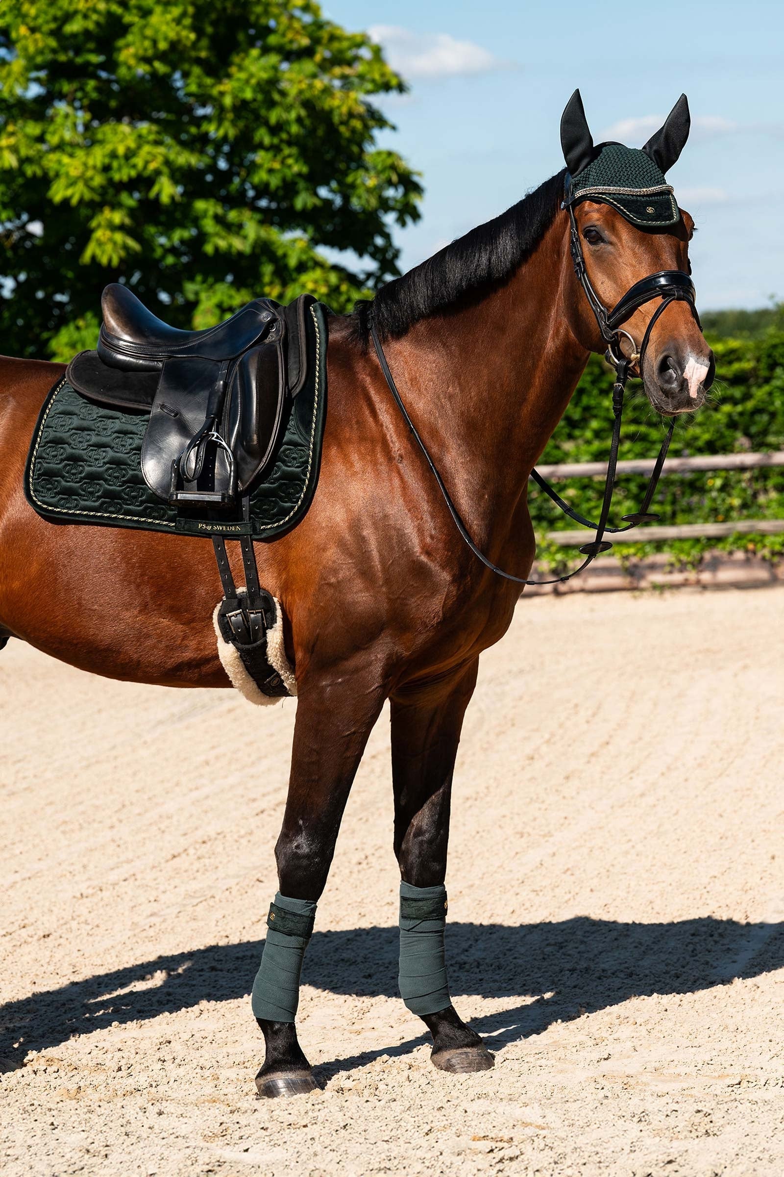 PS of Sweden Saddle Pad Velvet Monogram Dressage Saddle Pads