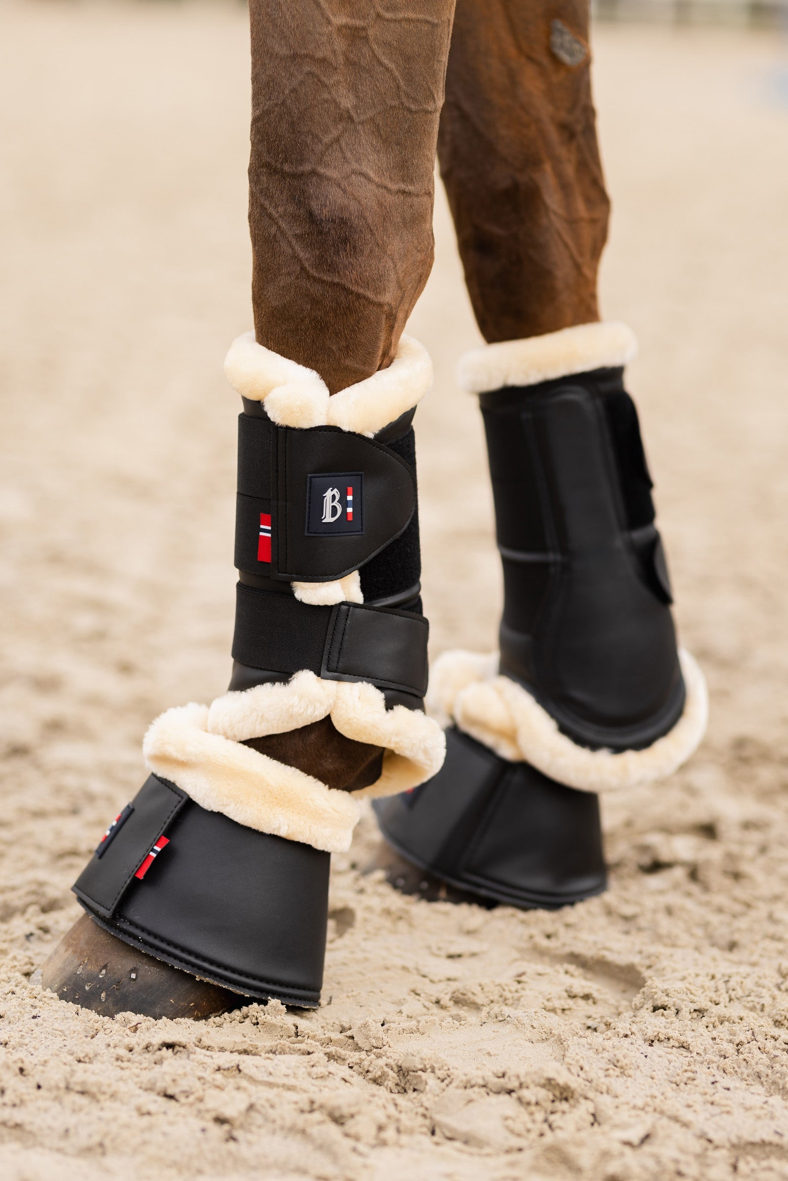 B Vertigo Empowerment Brushing Boot Leg Protection & Hoof Protection for Horses