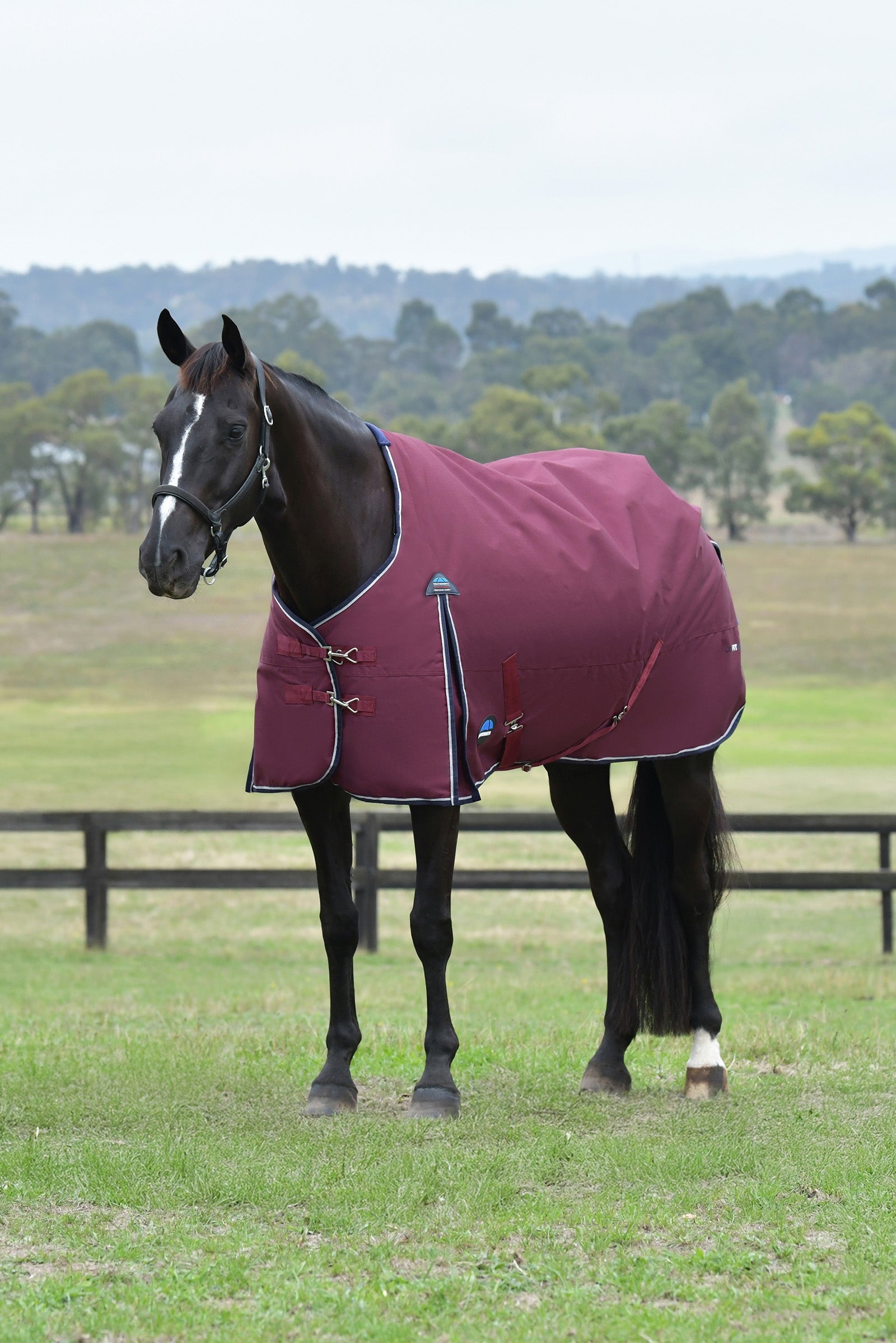 Weatherbeeta ComFiTec Essential Turnout Standard Neck 0G Mantas Caballo