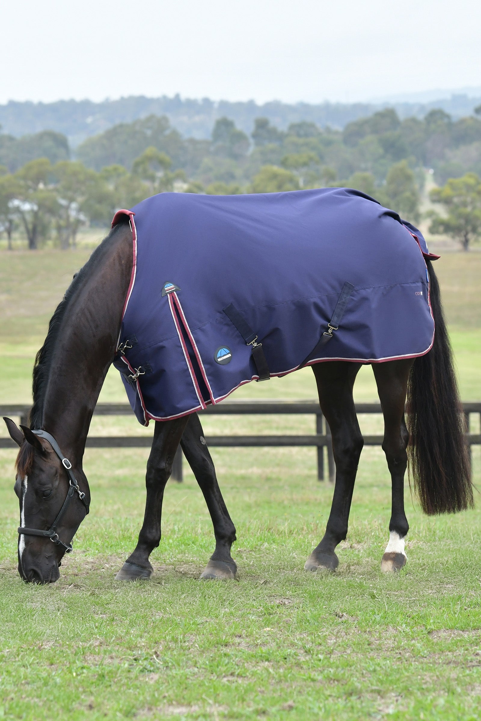 Weatherbeeta ComFiTec Essential Turnout Standard Neck 0G Horse Rugs
