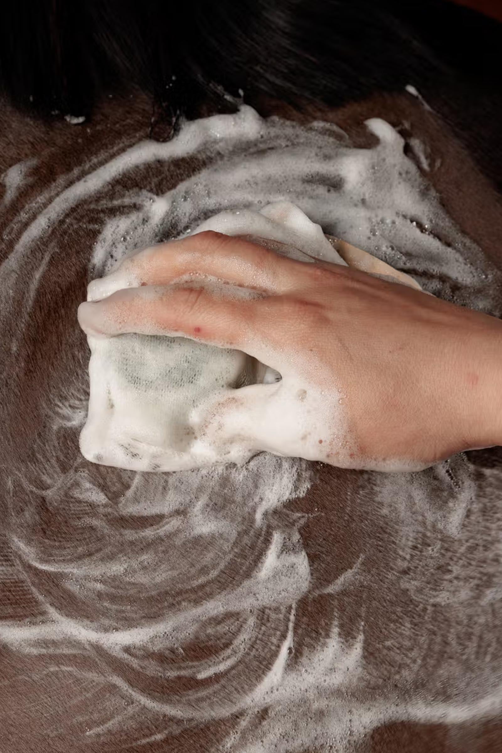 Grooming Deluxe Shampoo Bar Aloe Vera, 60 g Horse Health Care