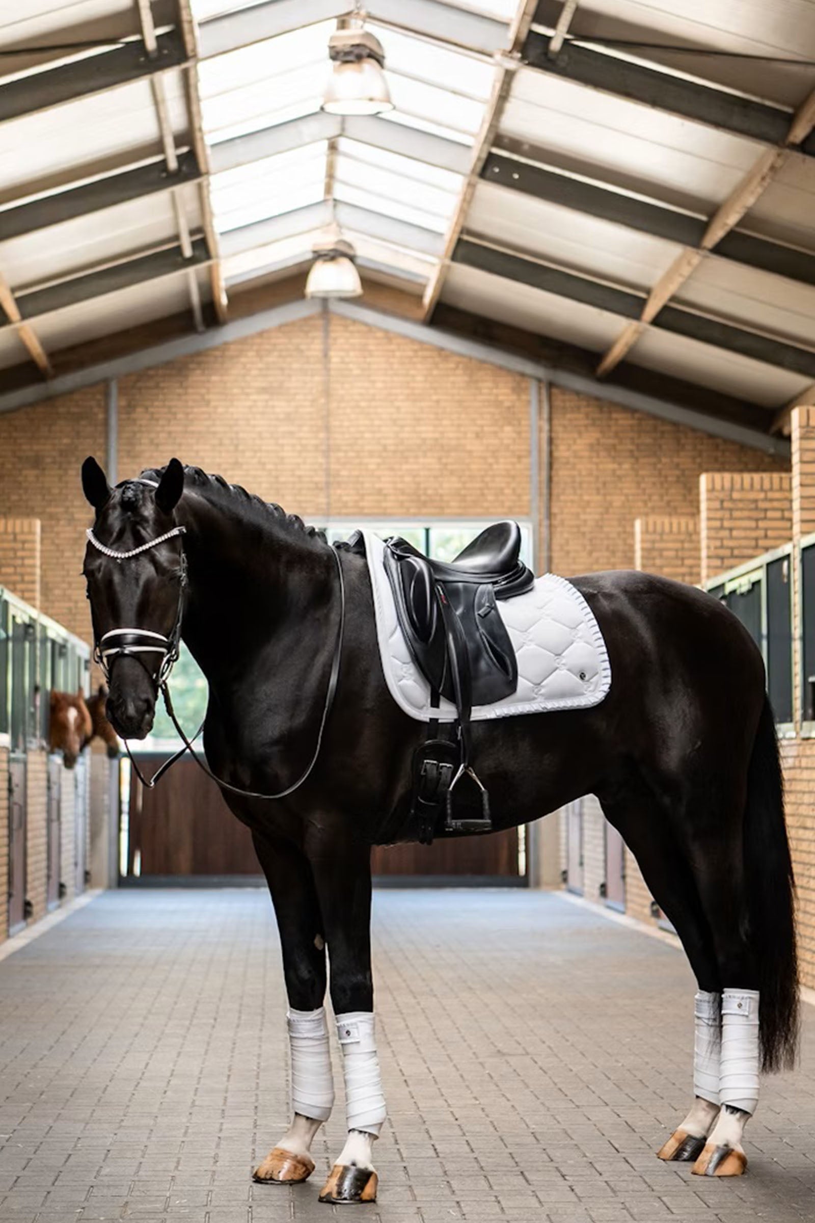 PS of Sweden Ruffle Dressage Saddle Pad Saddle Pads