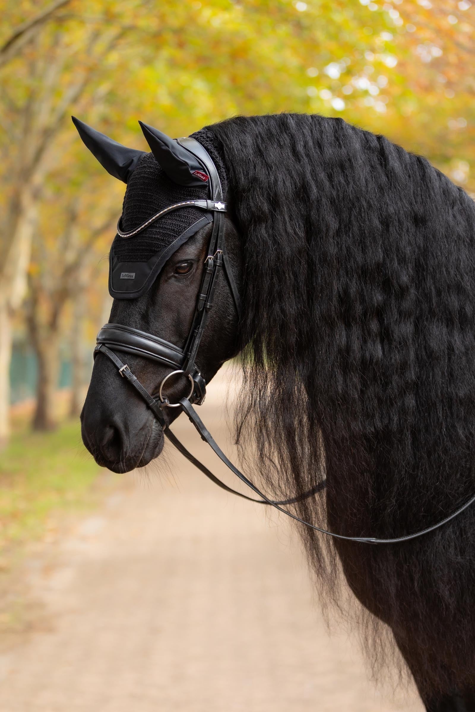 LeMieux Essence Fly Hood Saddle Pads