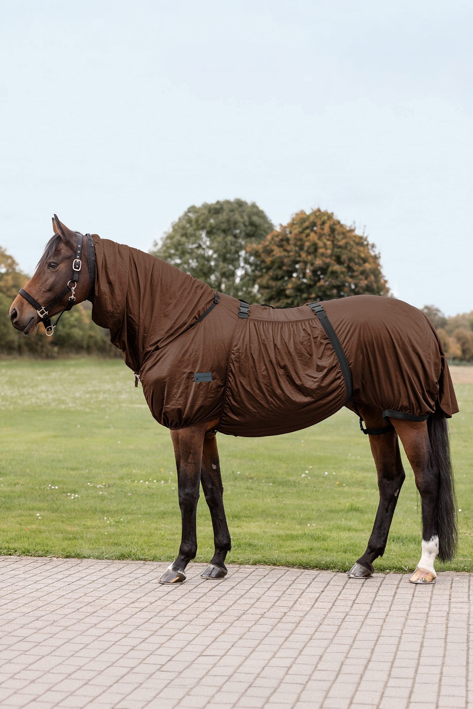 Waldhausen Eczema Rug Horse Rugs