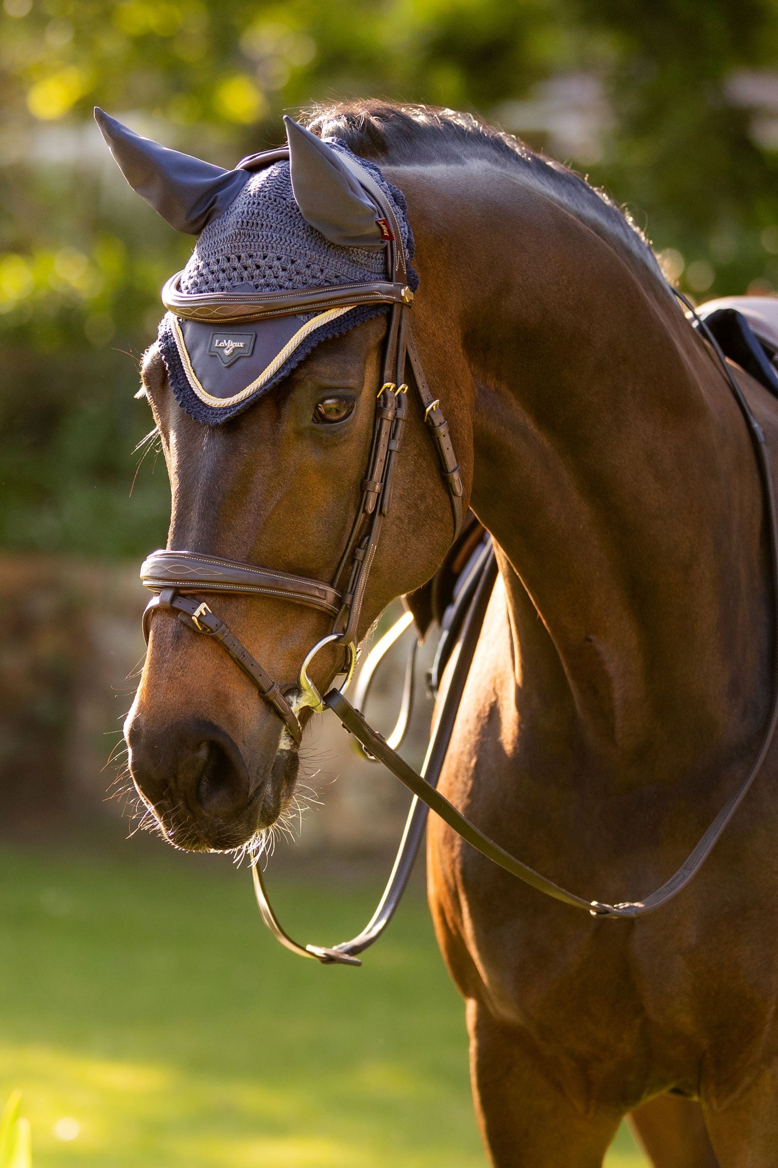 LeMieux Loire Fly Hood Saddle Pads