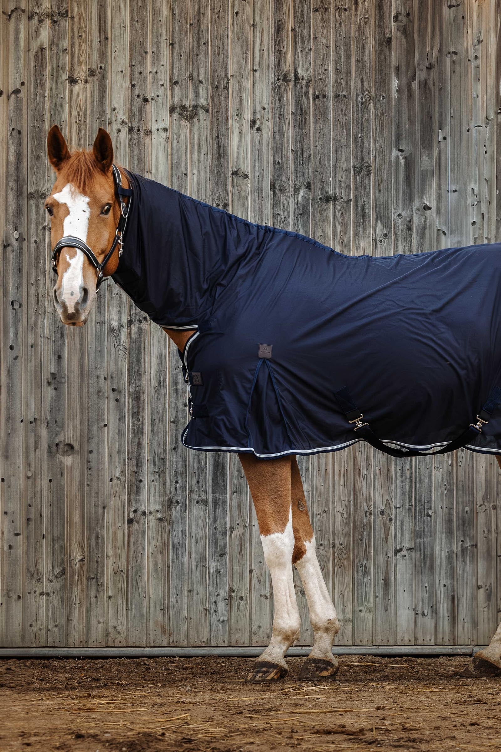 Equi Theme EQUITHÈME Micro Mesh Combo Sheet Horse Rugs