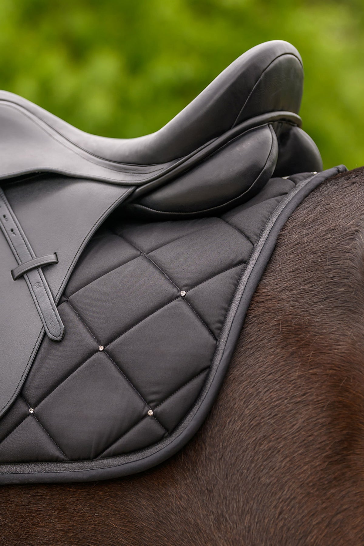 Waldhausen Competition All Purpose Pad Saddle Pads
