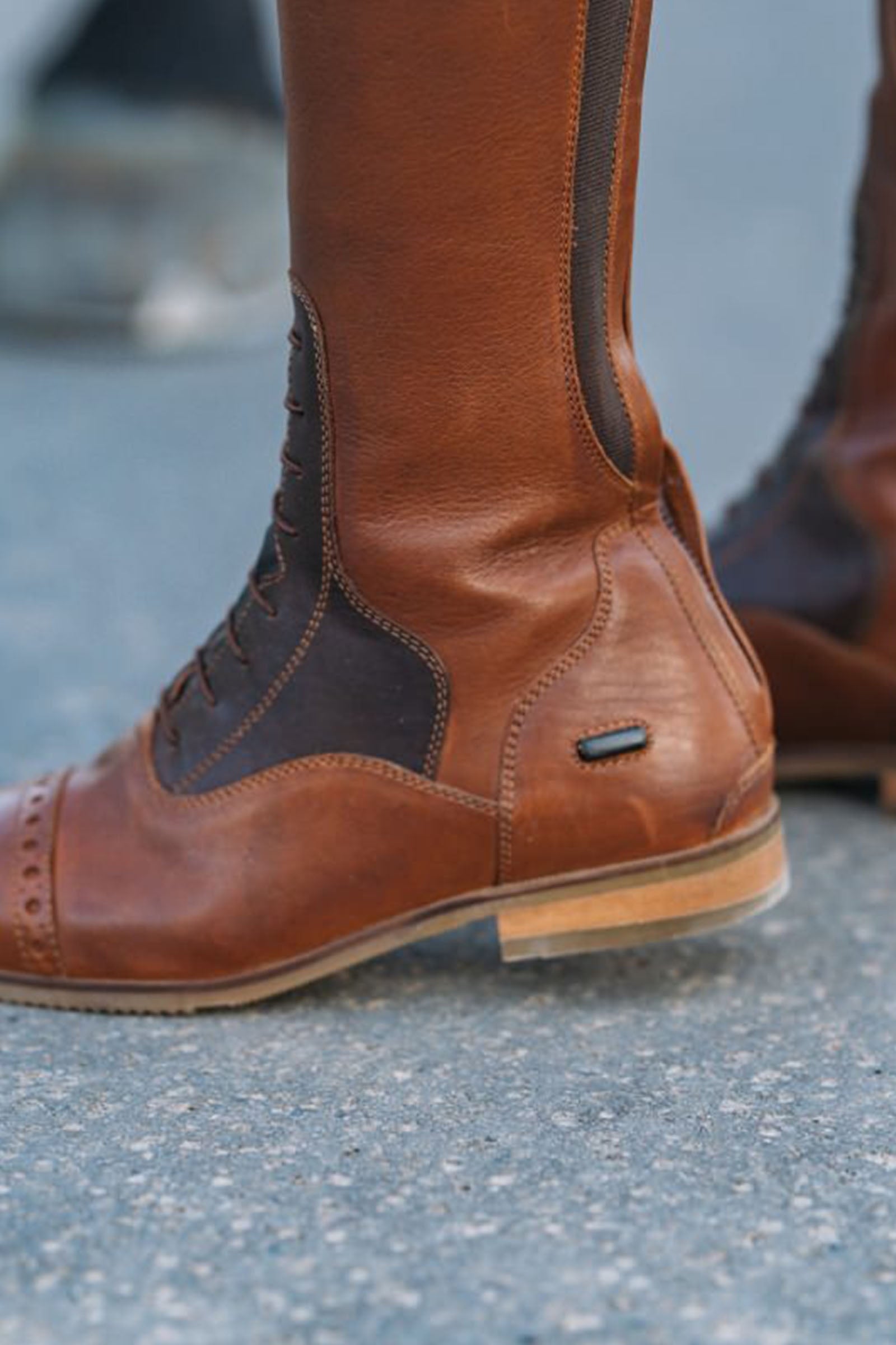 Suedwind Footwear Florentina Tall Riding Boots Riding Boots & Riding Shoes