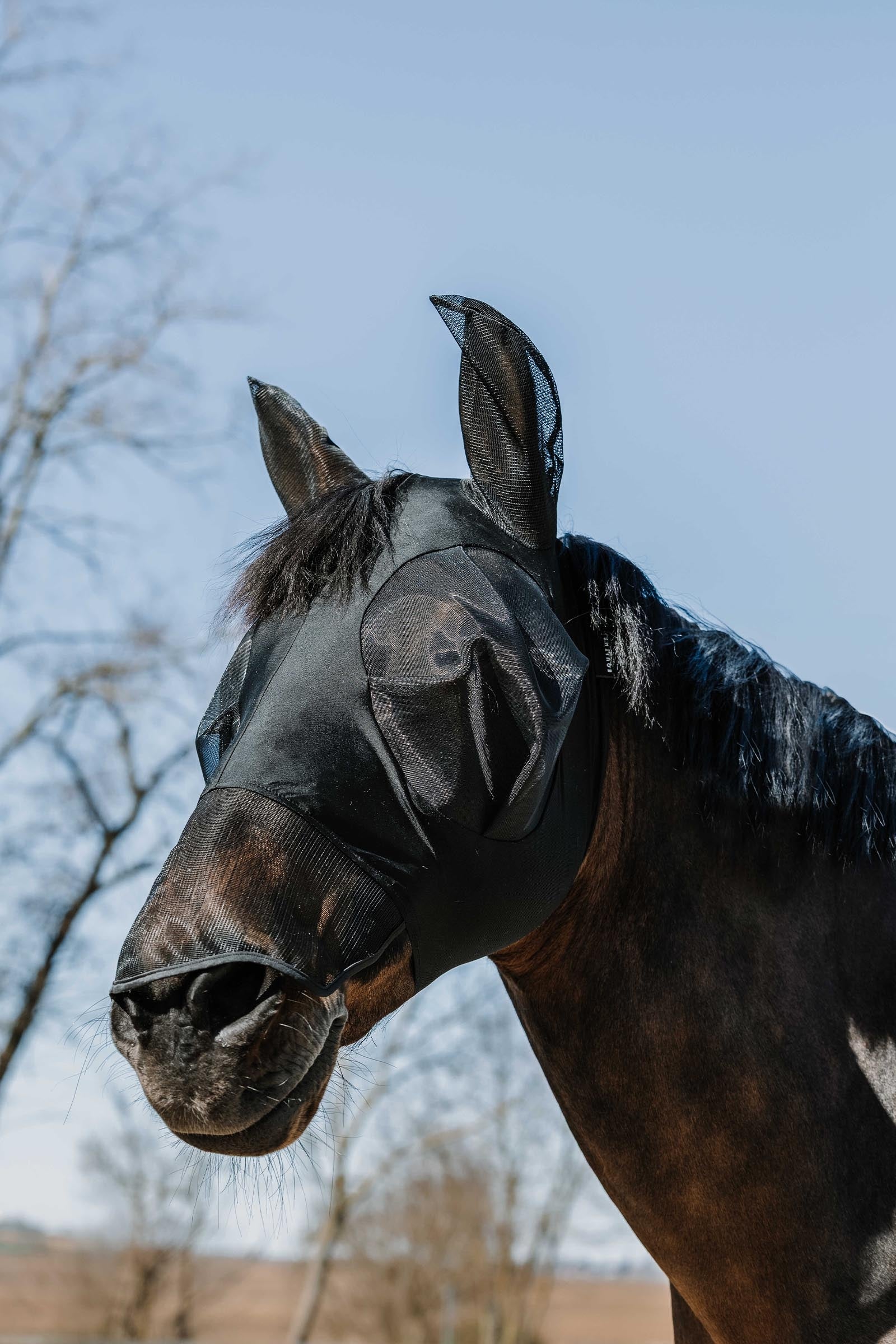 EQUITHÈME Lycra Fly Mask / UV Mask + Nose Antifly Protection for Horses
