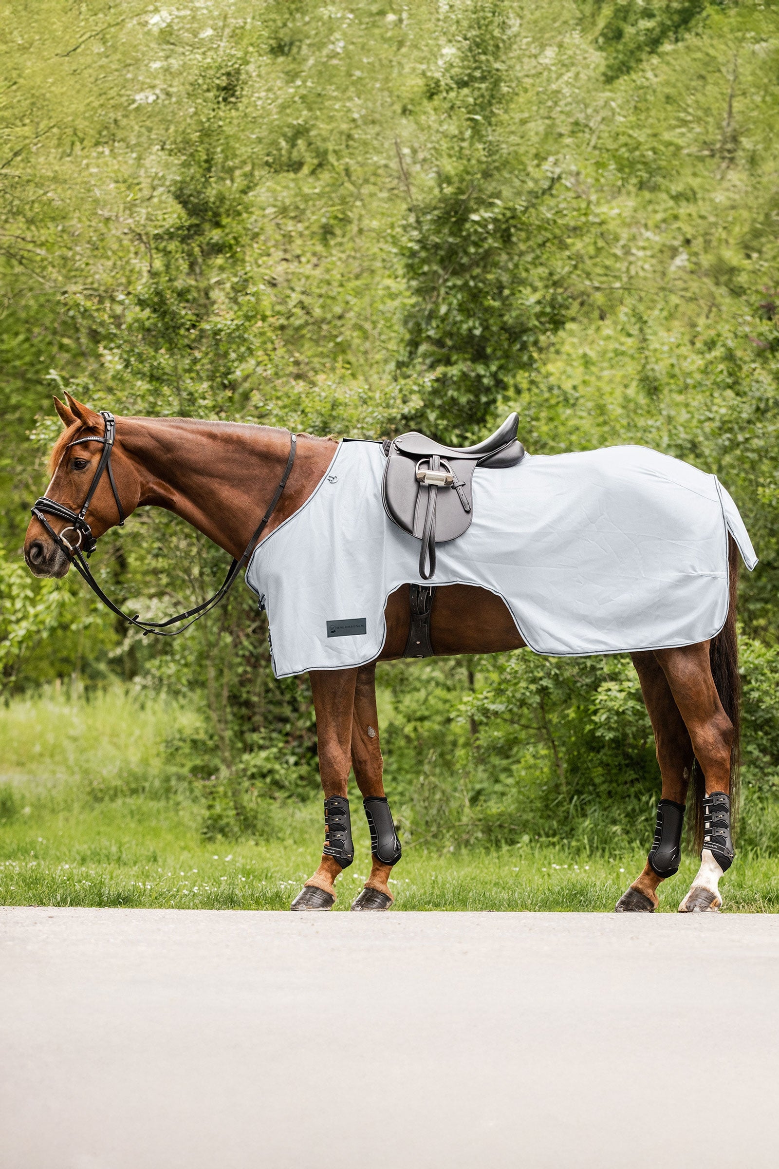 Waldhausen Protect manta antimoscas para montar Mantas Caballo