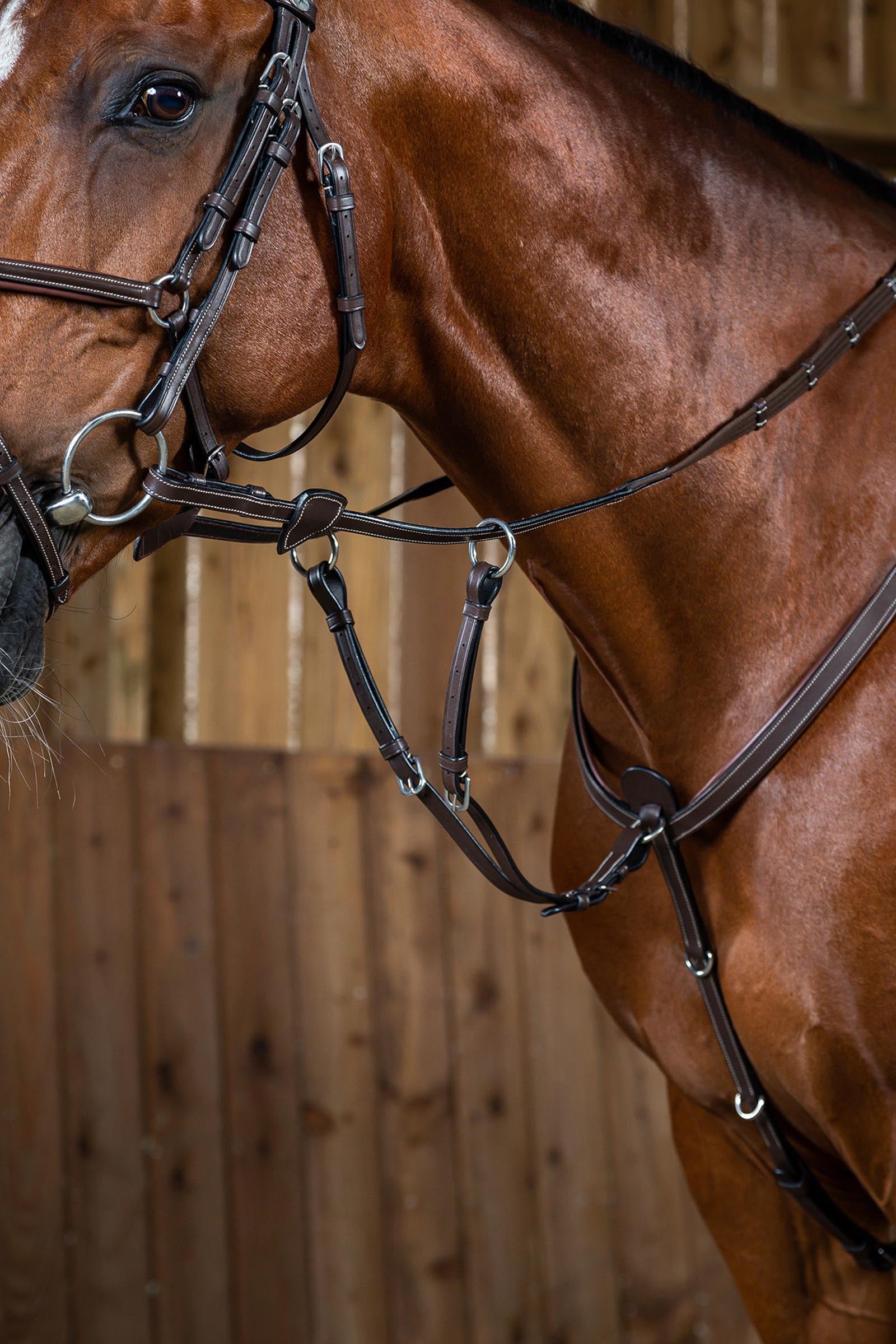 Dy'on Working Running Martingale Attachment Bridles & Reins