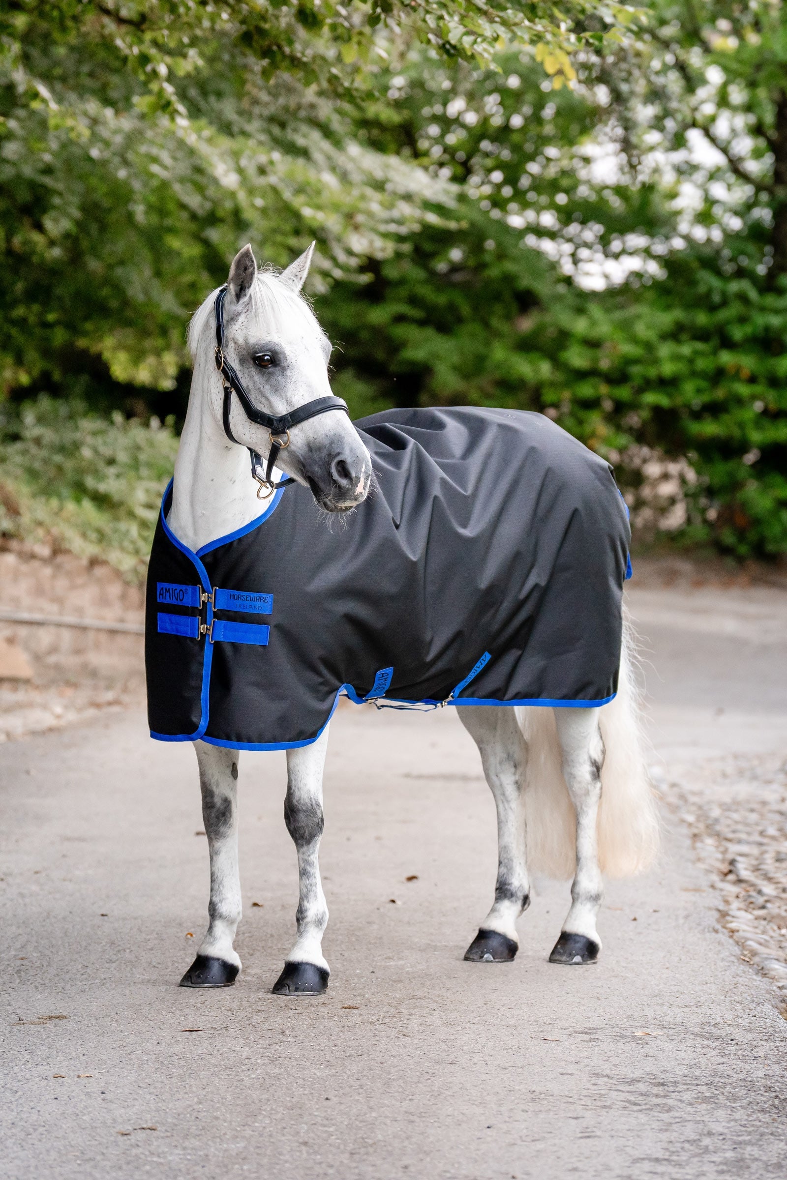 Horseware manta de exterior Amigo Ripstop 900D, 200 g Mantas Caballo