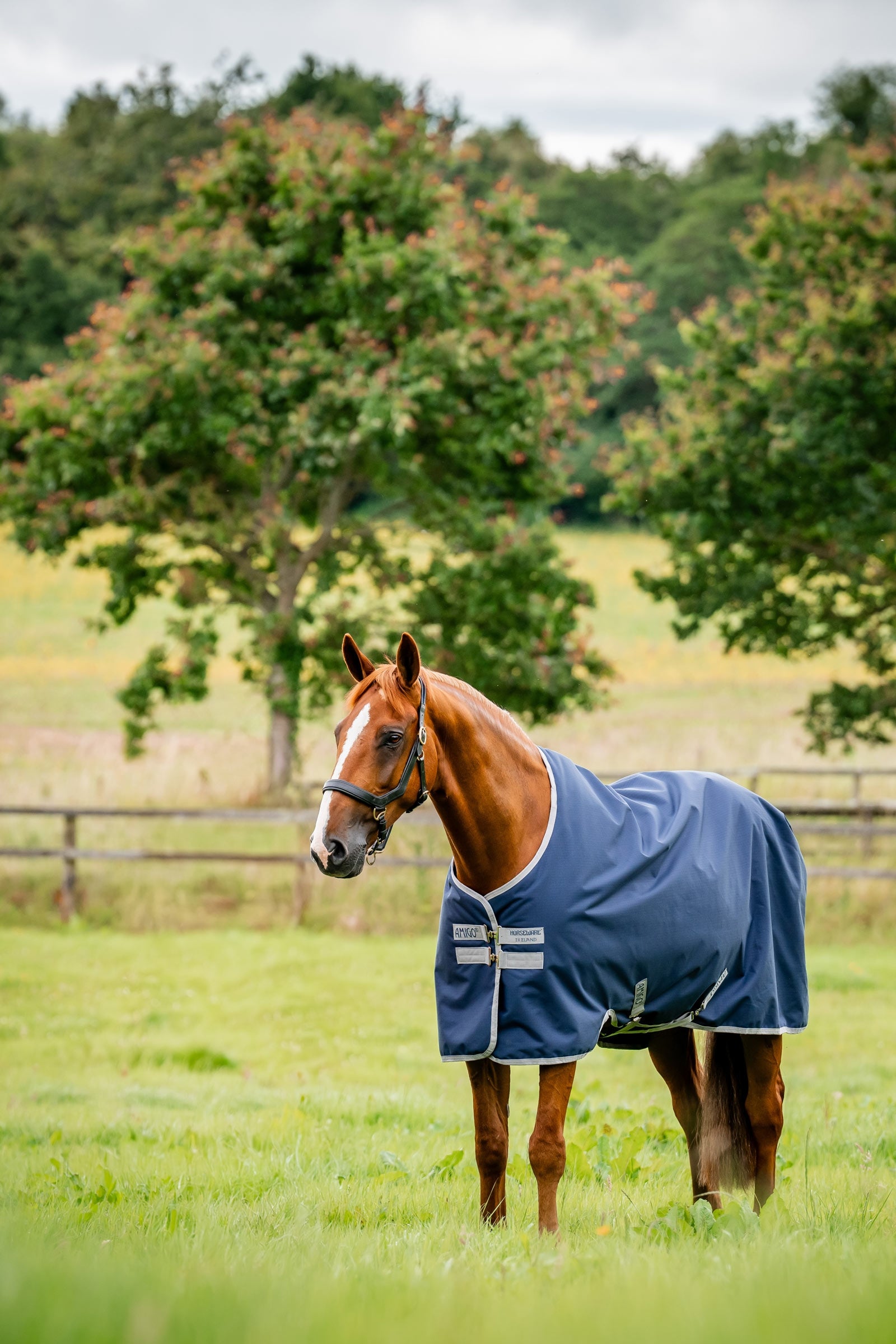 Horseware manta de exterior Amigo Ripstop 900D, 200 g Mantas Caballo