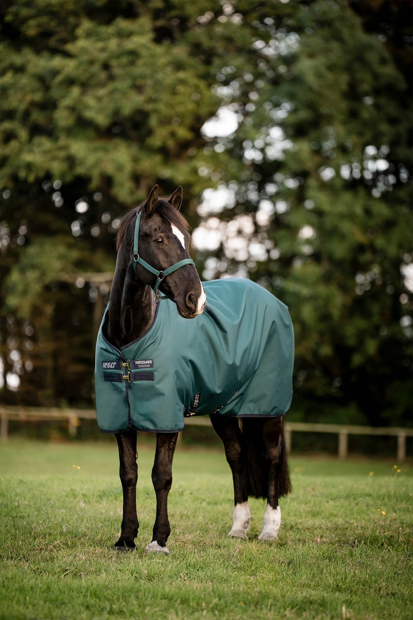 Horseware manta de exterior Amigo Ripstop 900D, 200 g Mantas Caballo