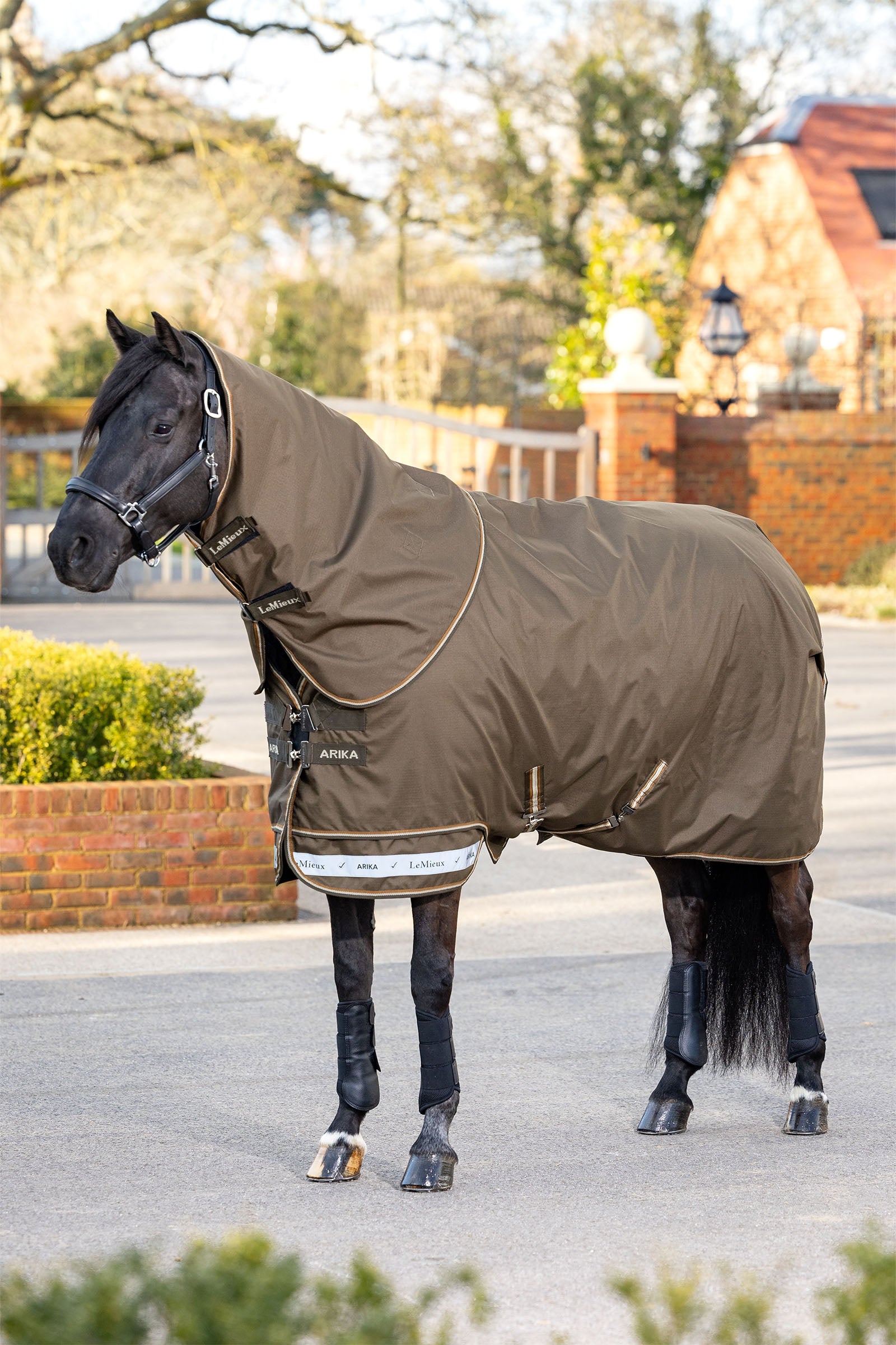LeMieux Arika Ripstop Turnout Rug With Detachable Neck, 200 g Horse Rugs