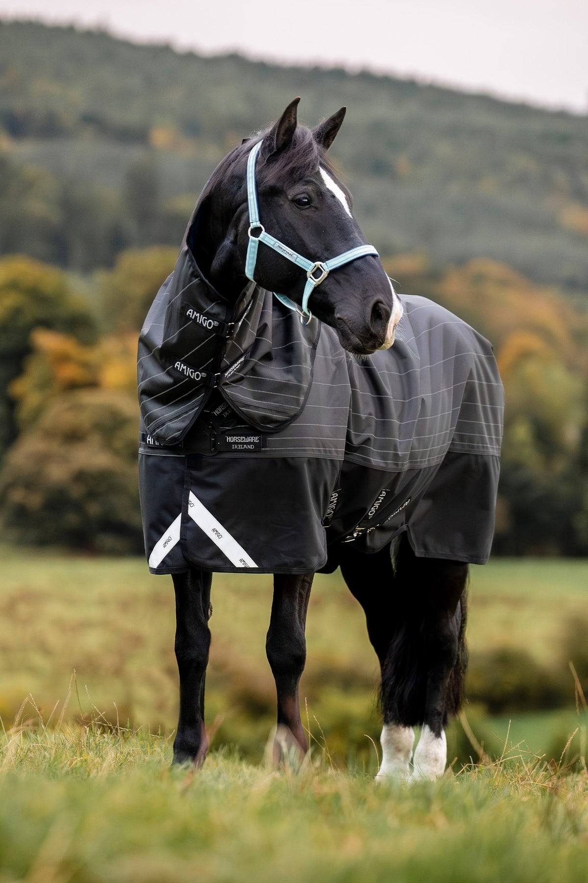 Horseware Amigo 1200D FieldSafe Reflectech Plus manta de exterior con cubrenuca desmontable, 0 g Mantas Caballo