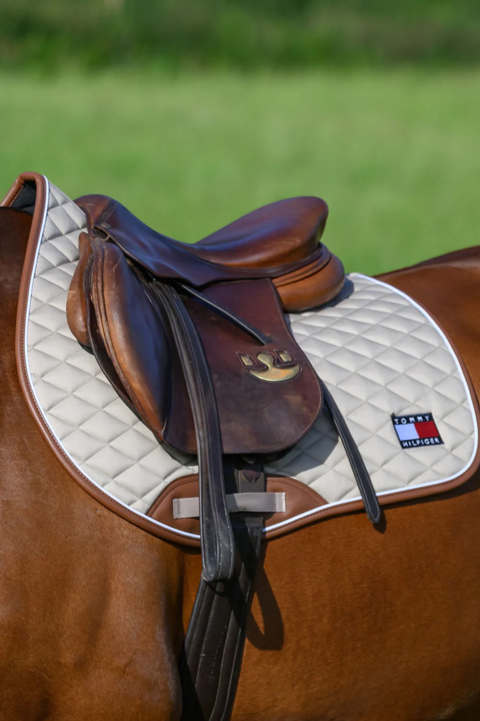 Tommy Hilfiger Equestrian Princeton Jumping Saddlepad Saddle Pads