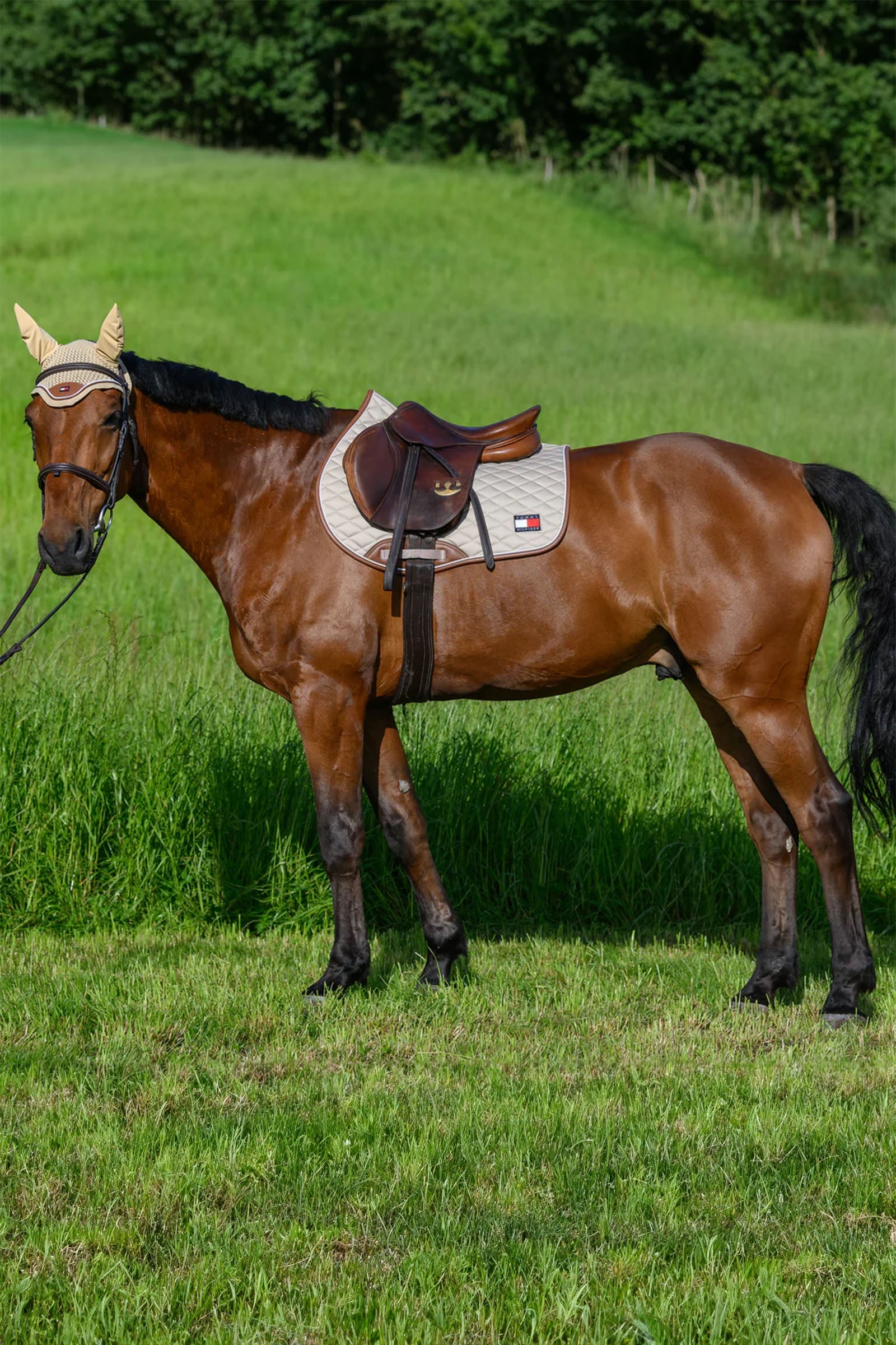 Tommy Hilfiger Equestrian Princeton Jumping Saddlepad Saddle Pads