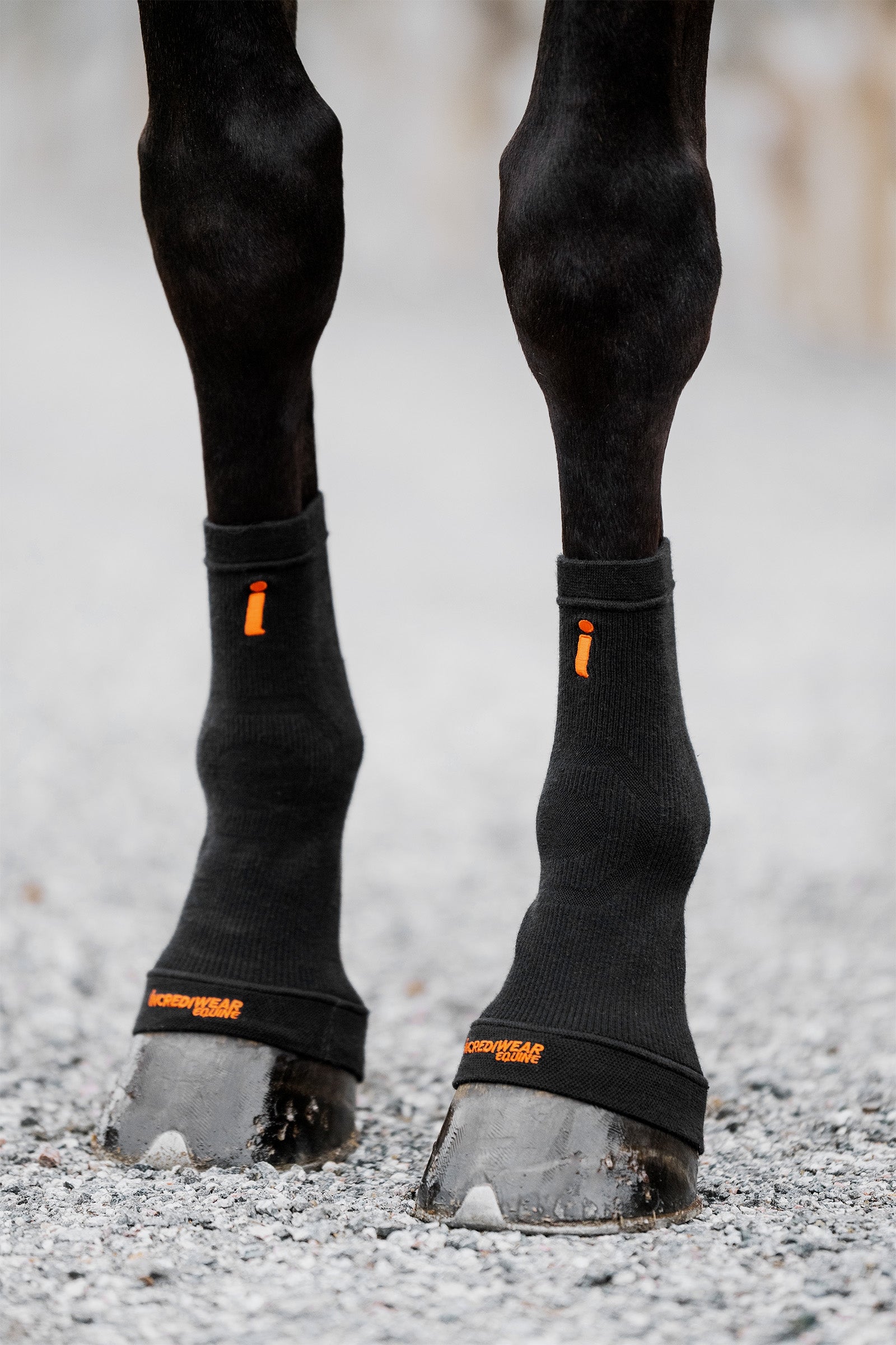 Incrediwear Calcetines para Casco Circulation Leg Protection & Hoof Protection for Horses
