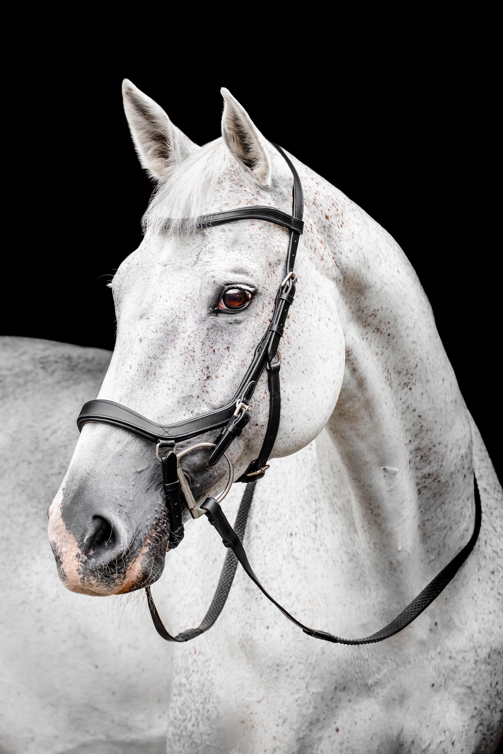 Horseware Rambo Micklem cabezada de competición Cabezadas de montar & Riendas