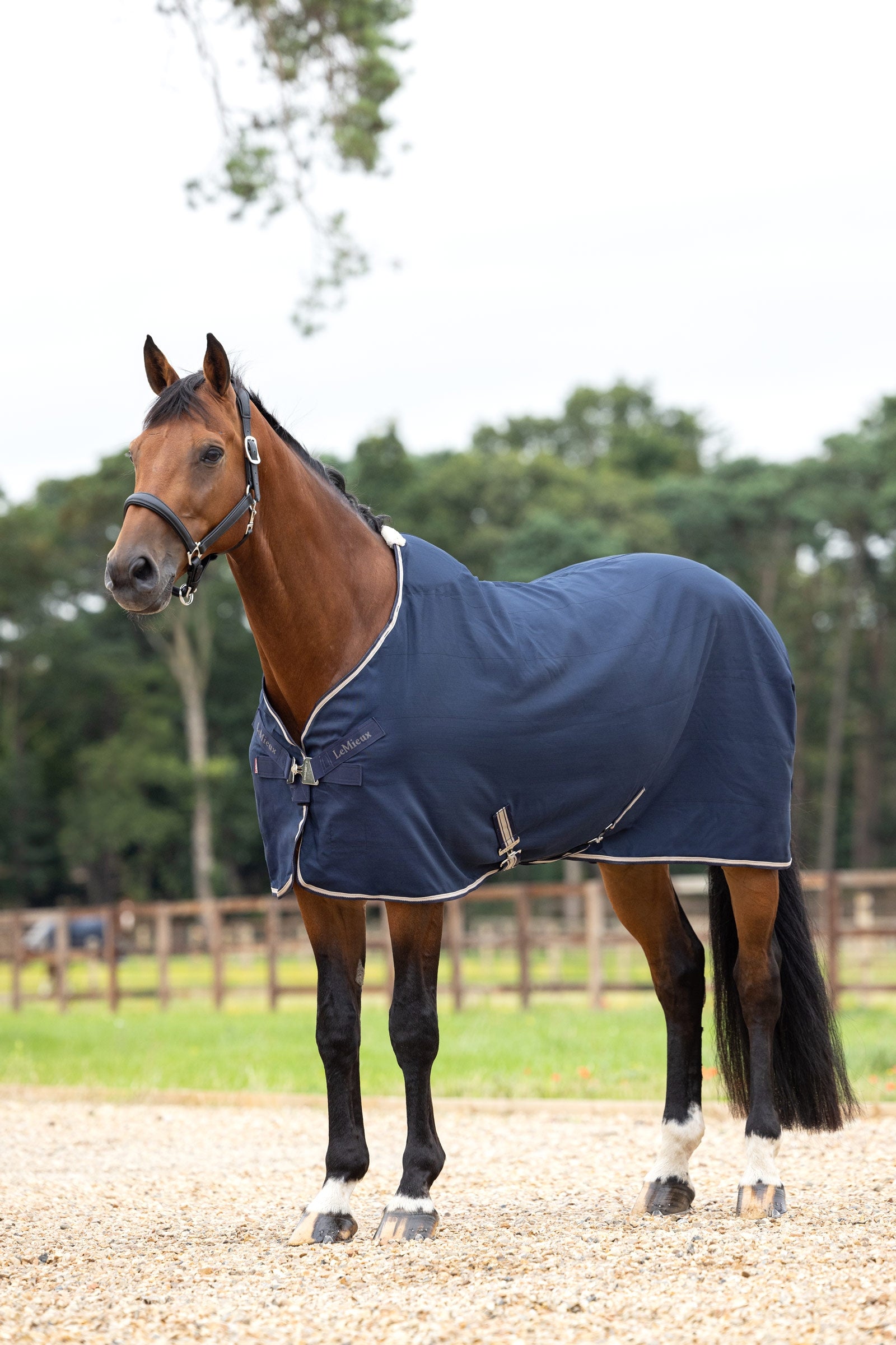 LeMieux Kudos Stable Sheet, 0g Mantas Caballo