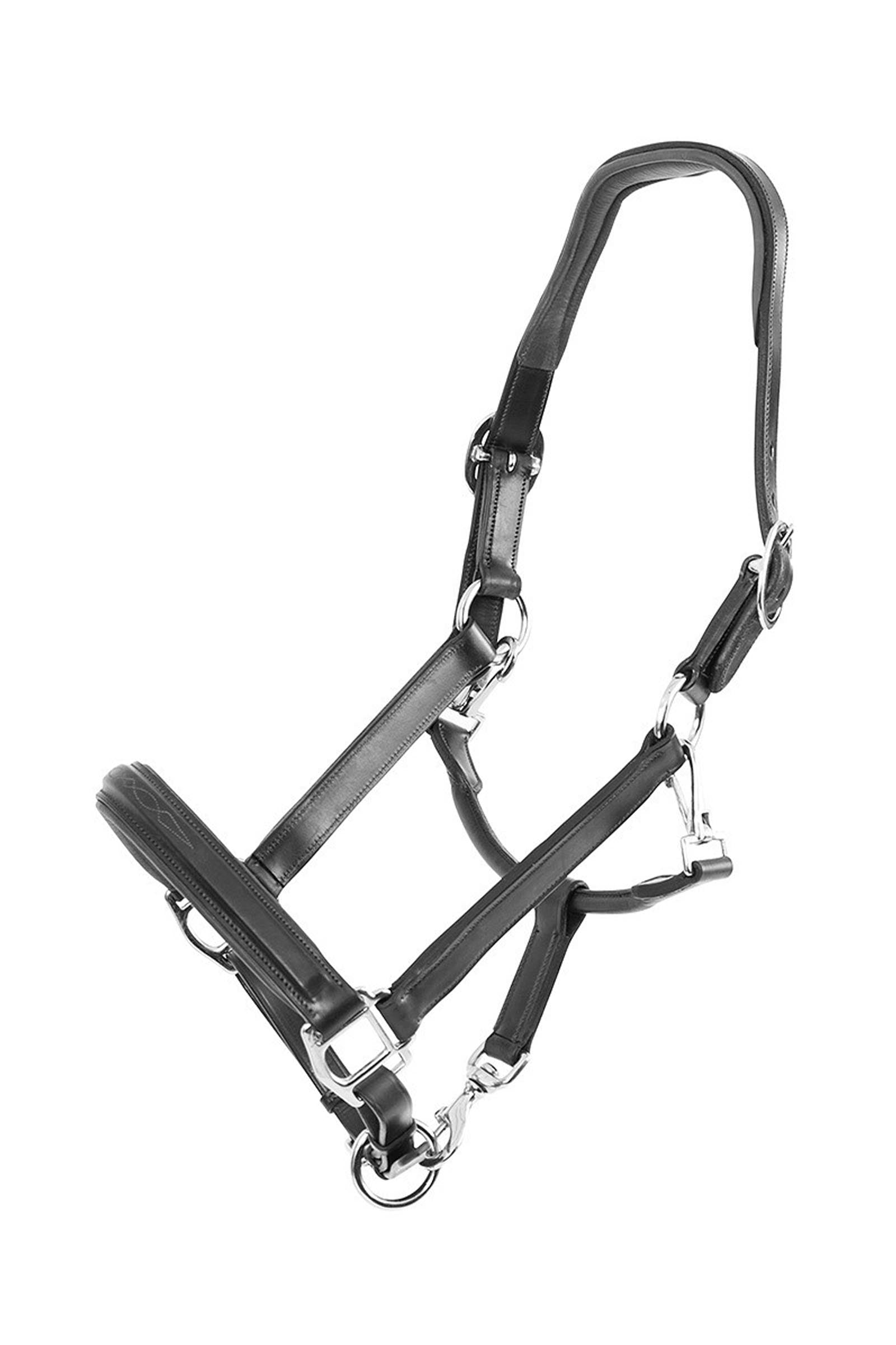 Trust Equestrian Halter San Miguel Cabezadas de cuadra & Ramales