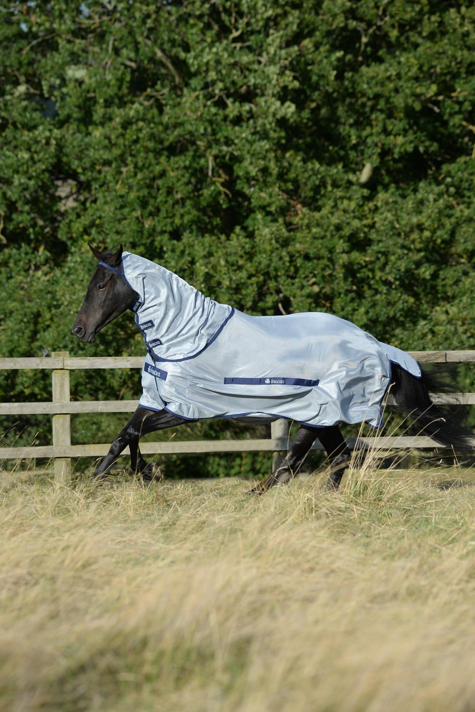 Bucas Buzz-Off Full Neck manta anti-moscas con cuello fijo Mantas Caballo